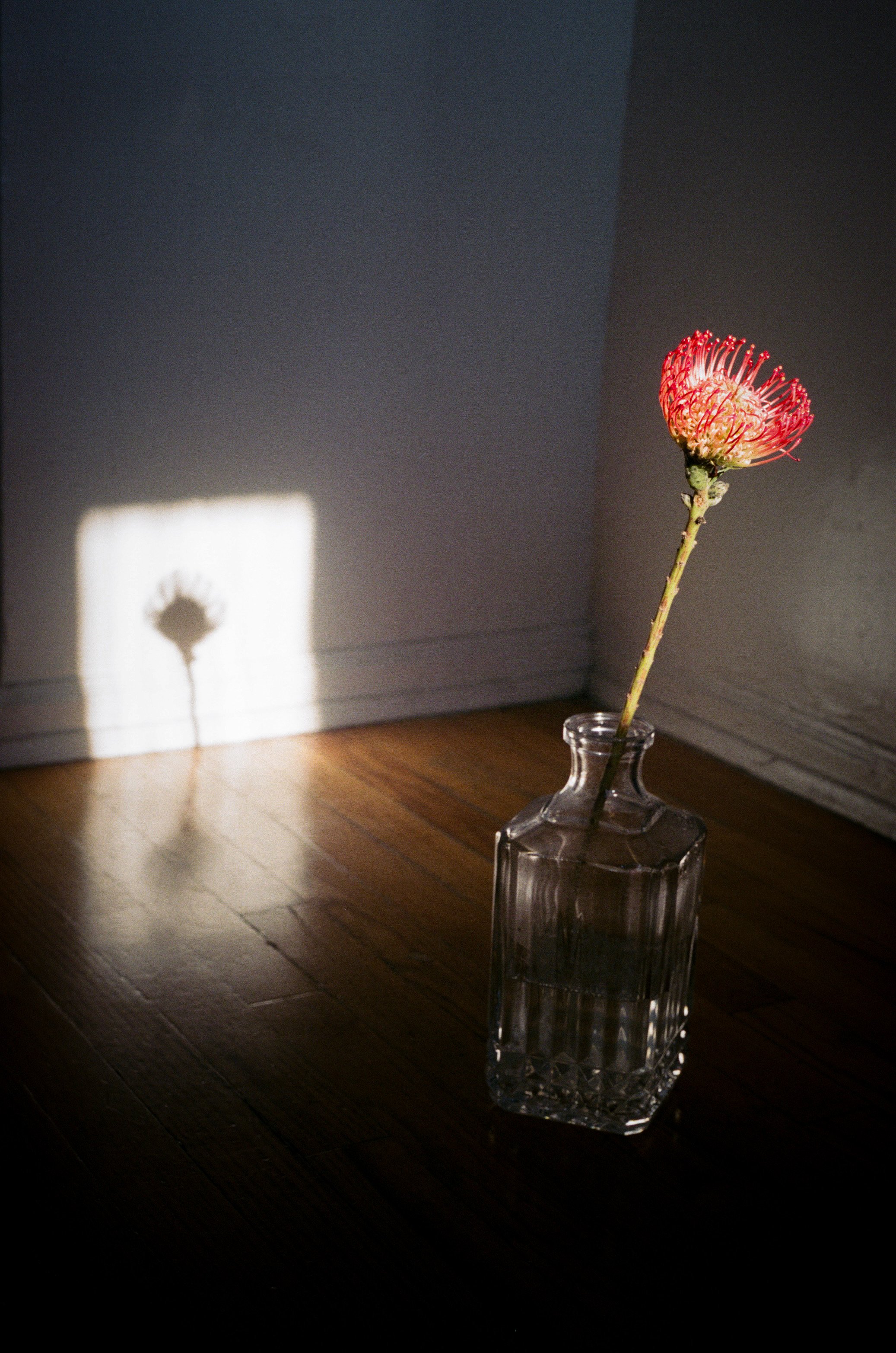 044B1903-5A13-47E4-A5B5-4AE7BE729171 2.JPEG