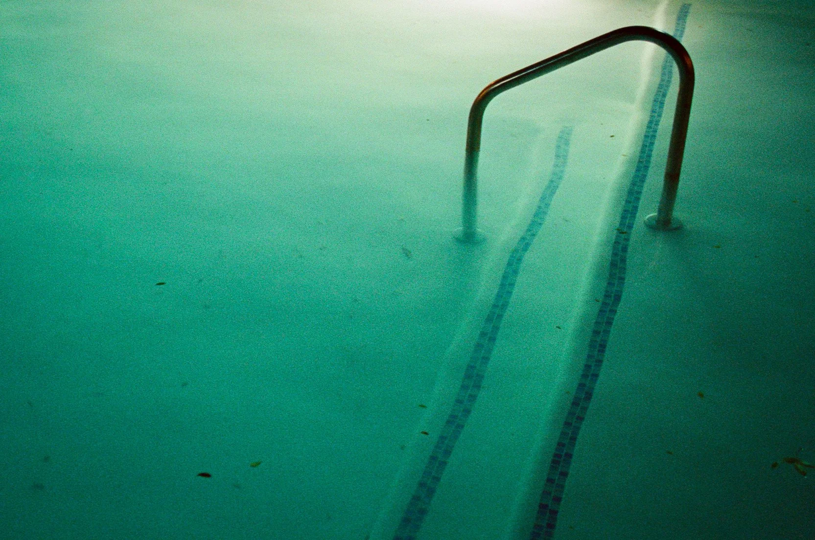 D0F733CA-8DB5-4A35-B260-99110AF73F3D 5.JPEG