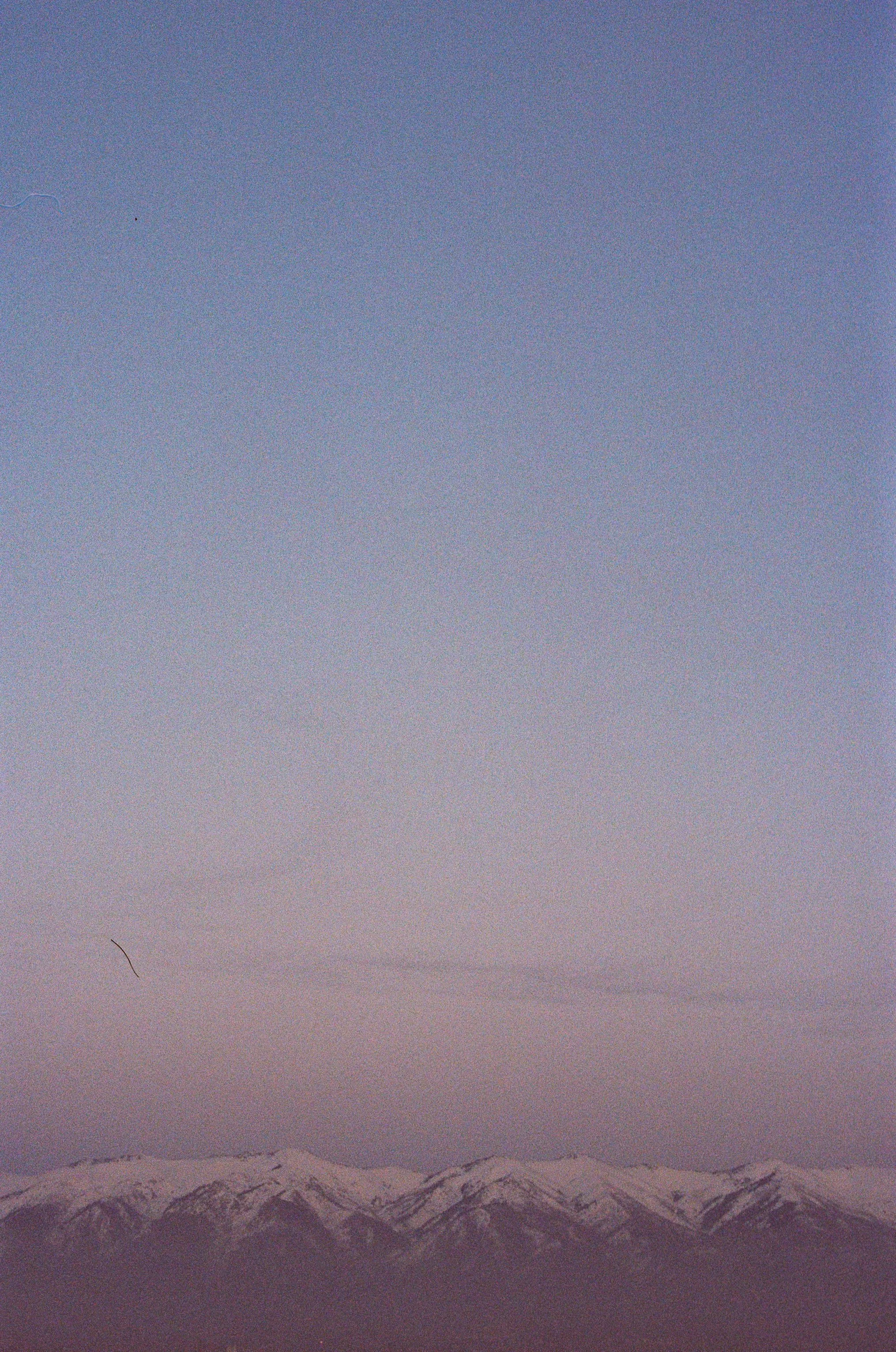 Photo Dec 08 2025, 6 52 19 PM (3).jpg