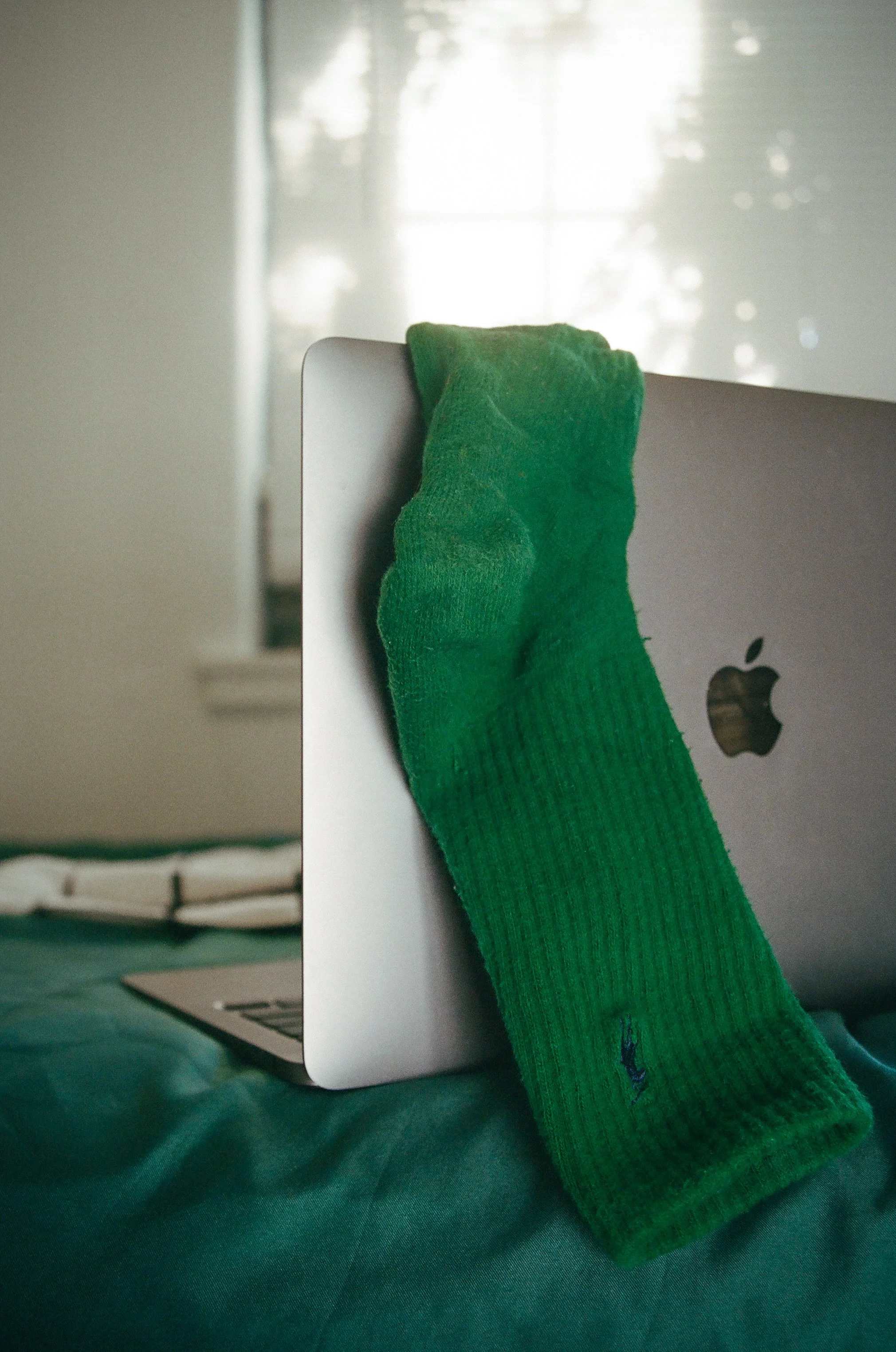 F300234F-DD76-4EBA-B7F9-15F6004C351B 2.JPEG