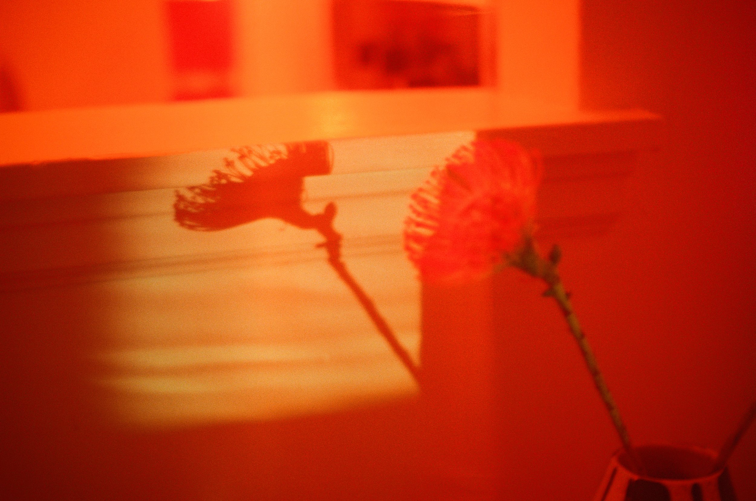 13EF3C99-5601-43A0-8828-87BD82671214.jpeg