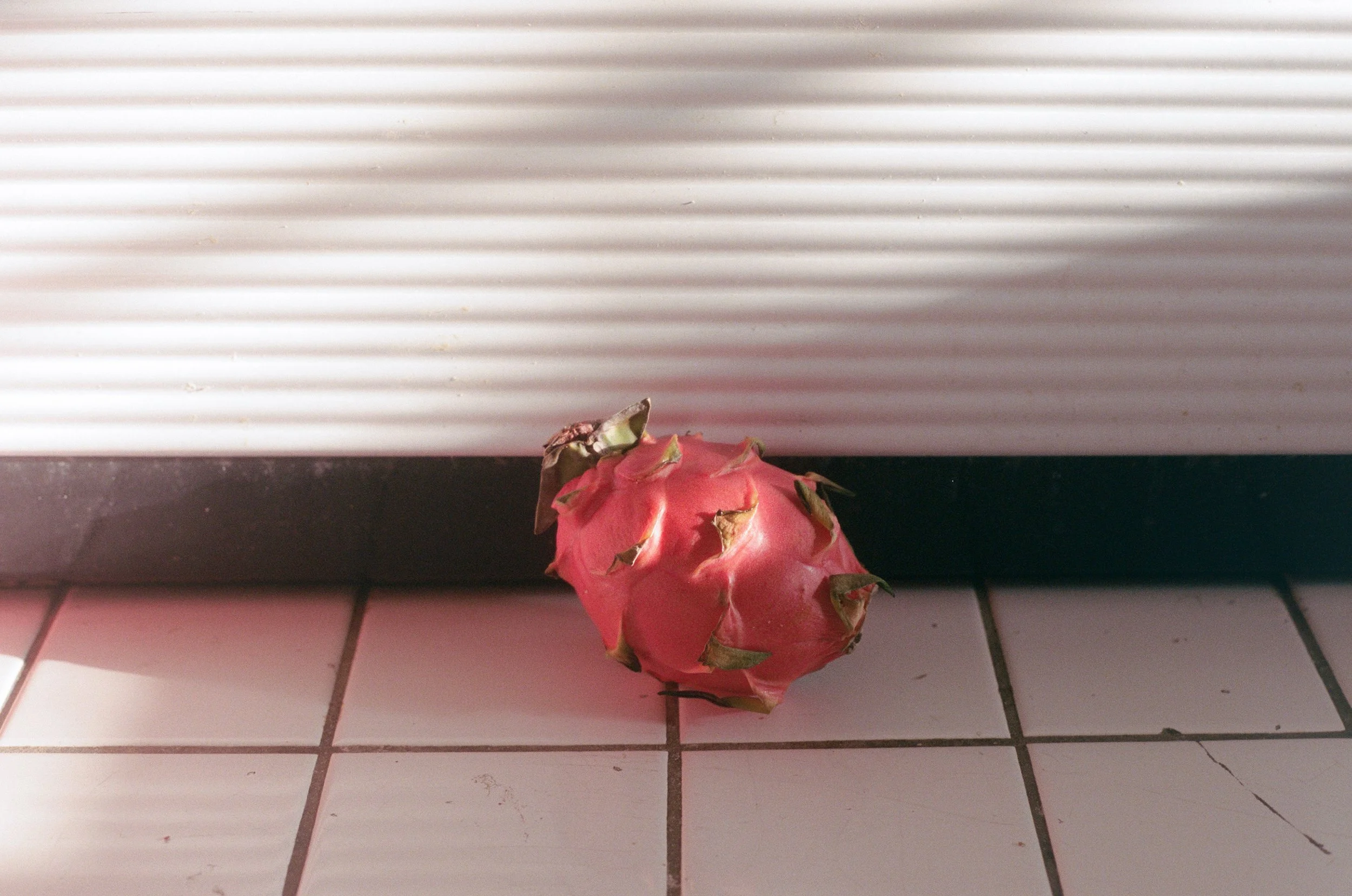 96C412DC-BD88-4760-A98D-1EB74AA0C6AA 2.JPEG