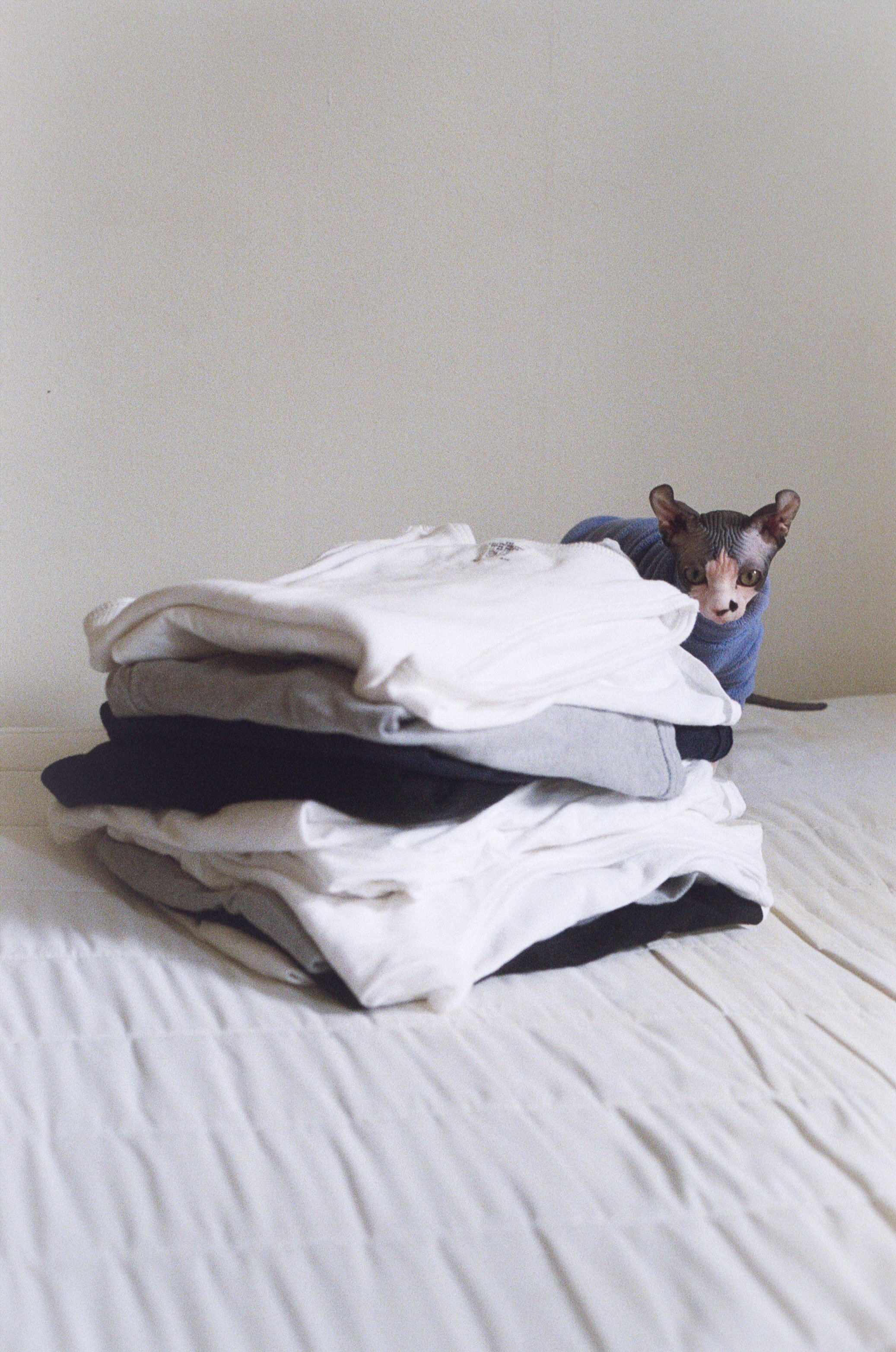 Photo Dec 08 2025, 6 52 19 PM.jpg