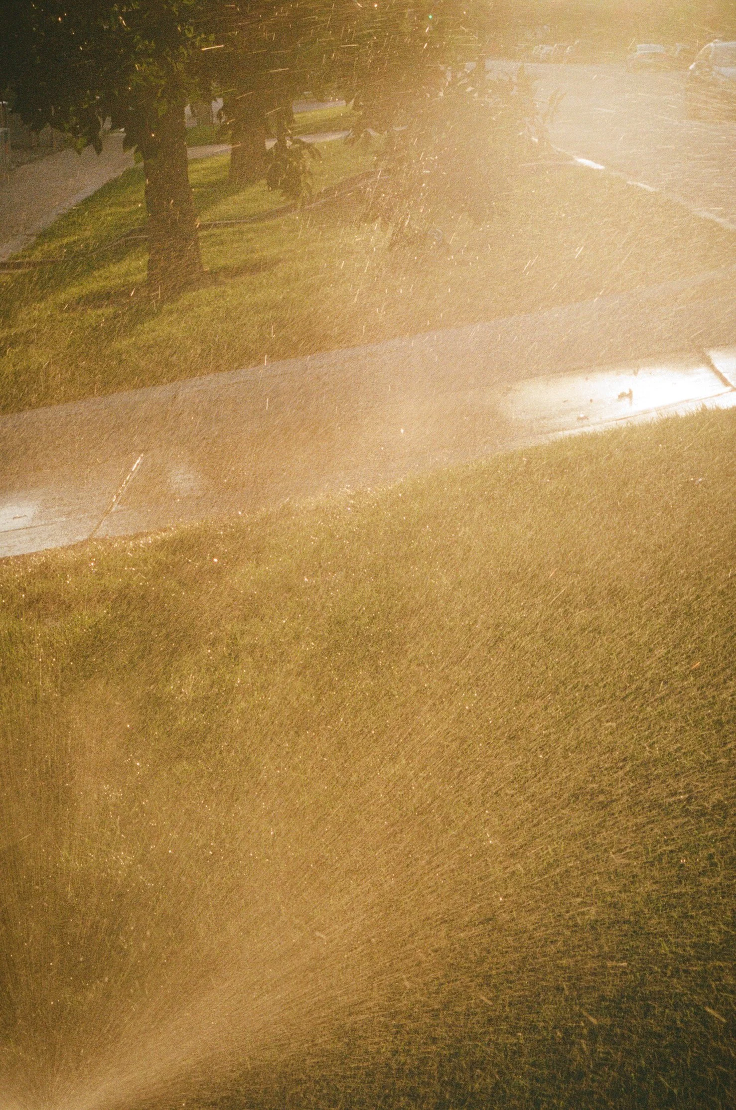 F4447F5B-87F3-4F29-9174-7039D4BC5E88 4.JPEG