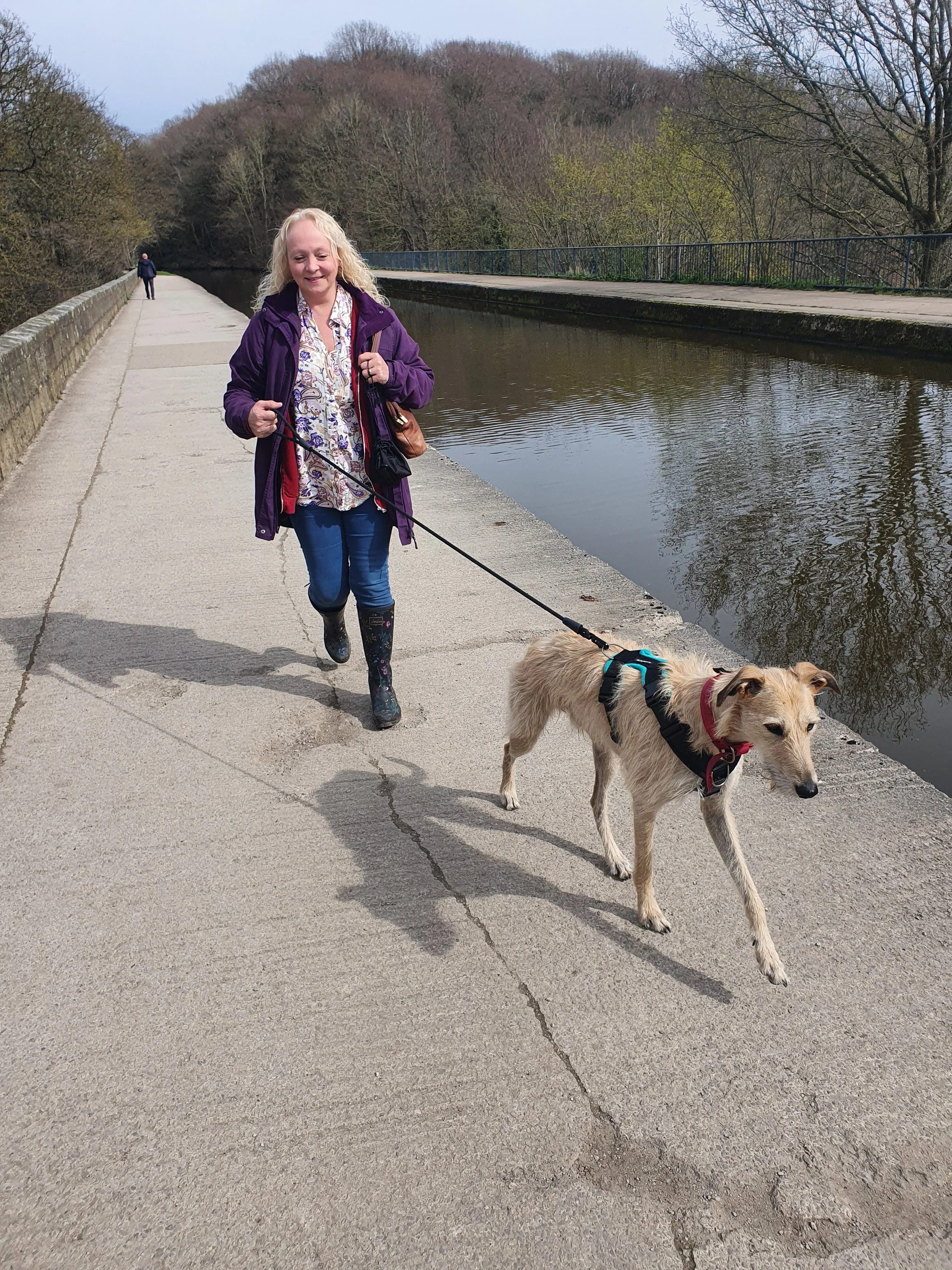 Sale helen's dog walking services on Sale