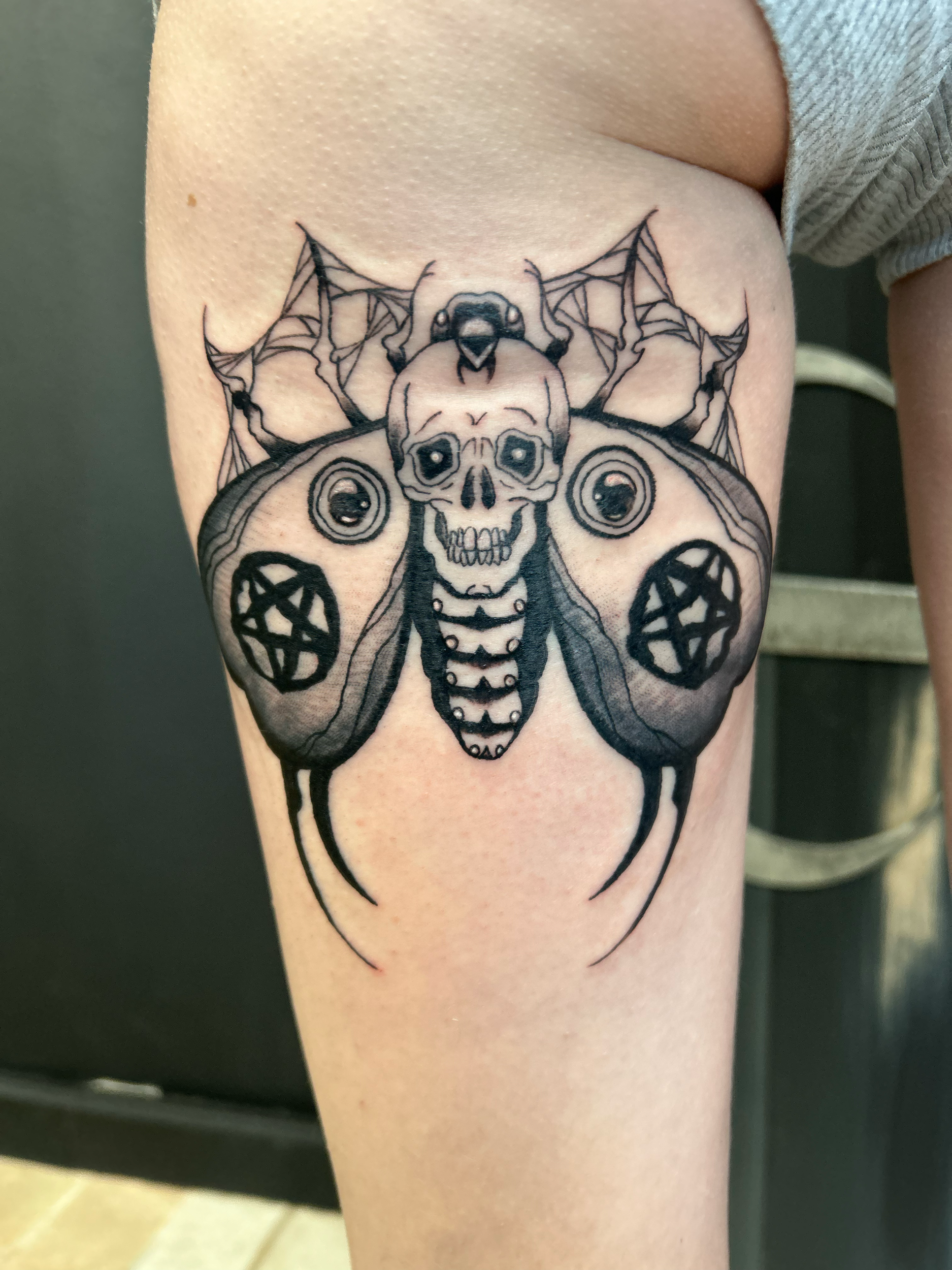 Tattoo of a skull with a moth on top and butterfly wings that have pentagrams on each wing, surrounded by spider webs.