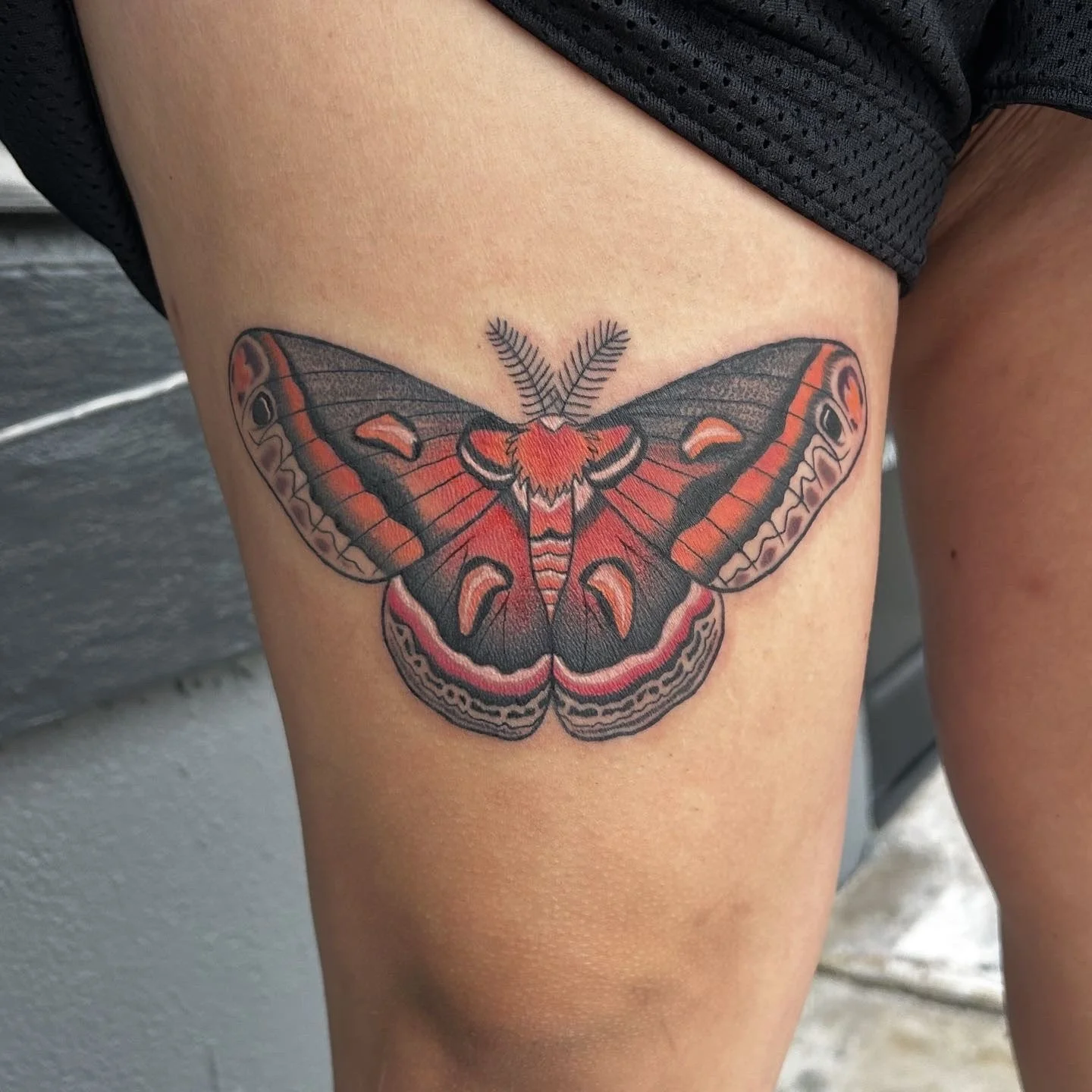 Colorful moth tattoo on a person's thigh featuring red, black, and cream colors with detailed wing patterns.
