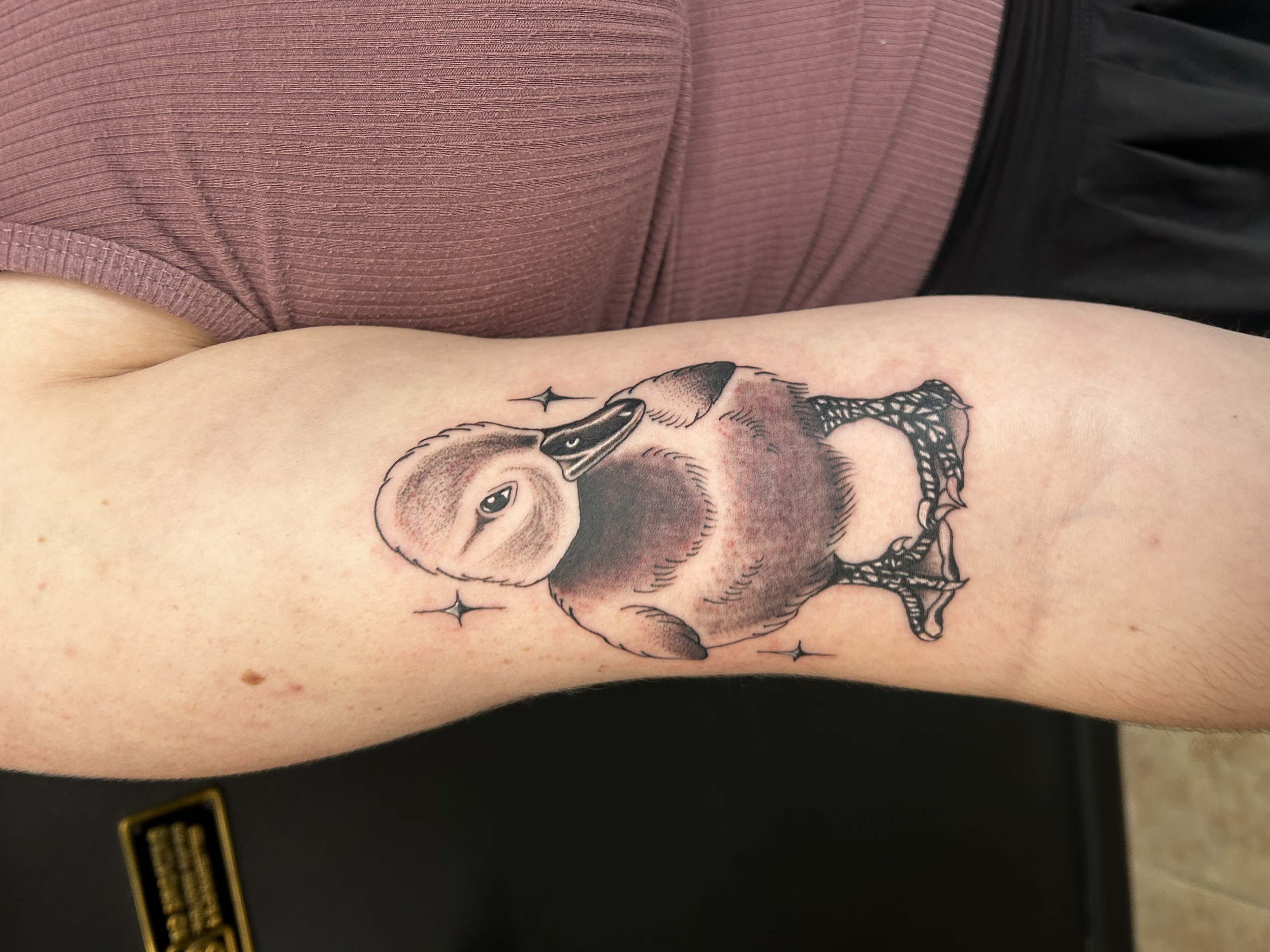 Tattoo of a baby owl holding a black duckling in its wings on a person's inner forearm.