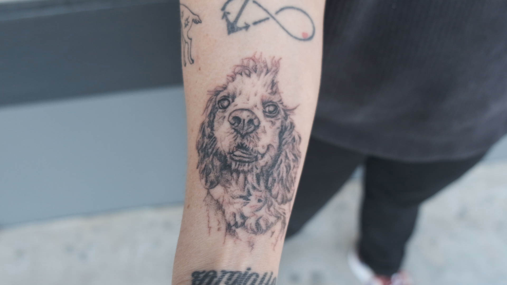 Tattoo of a dog's face on a person's forearm.