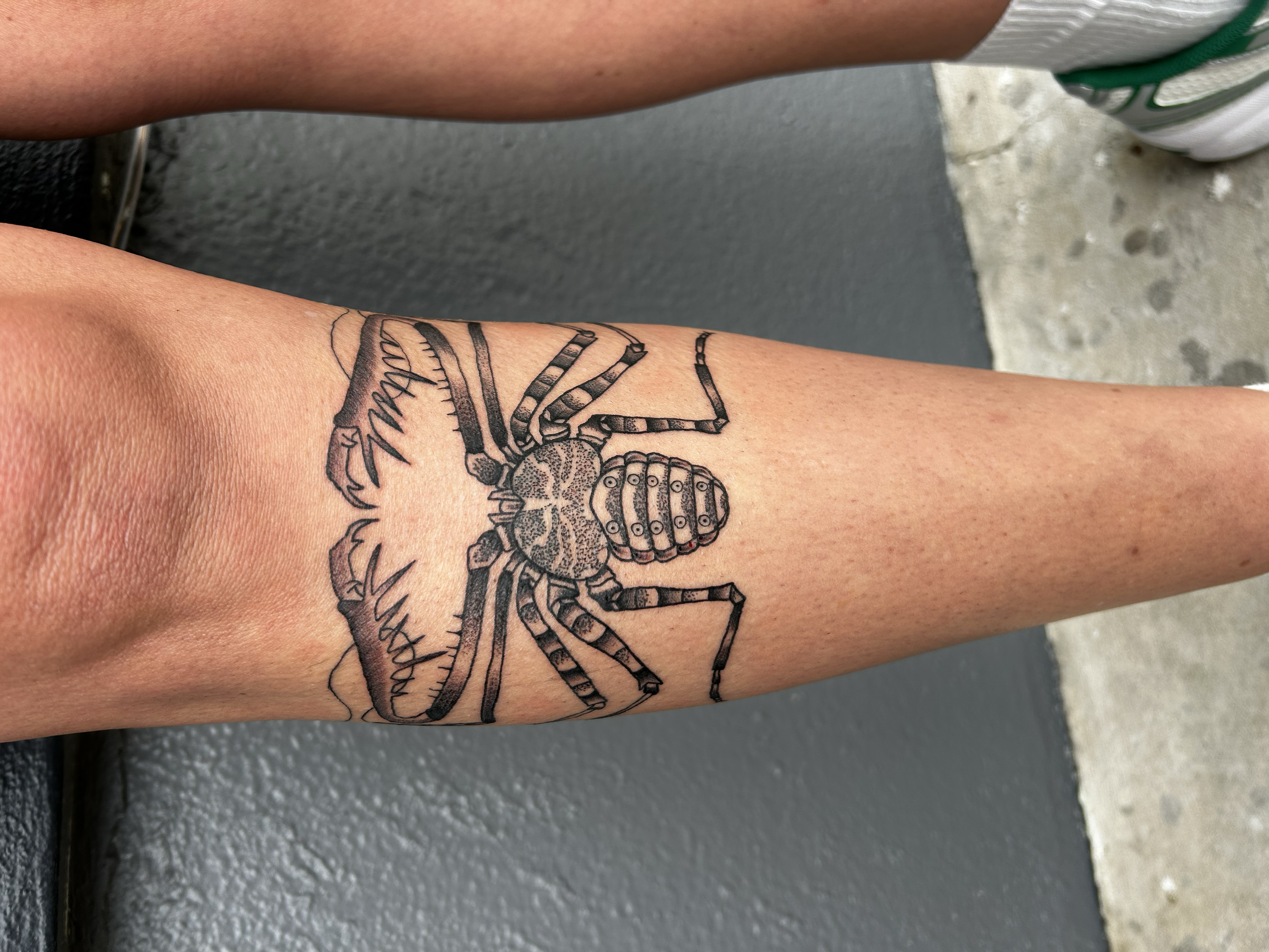 Black and white tattoo of a crab on a person's lower leg.