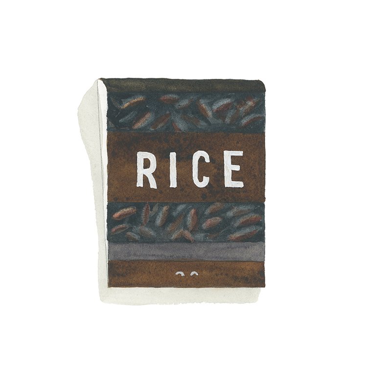 Rice DMV matchbook art print