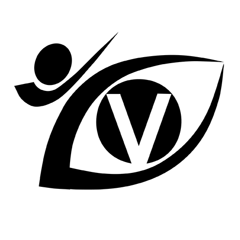 Vision Martial Arts.png