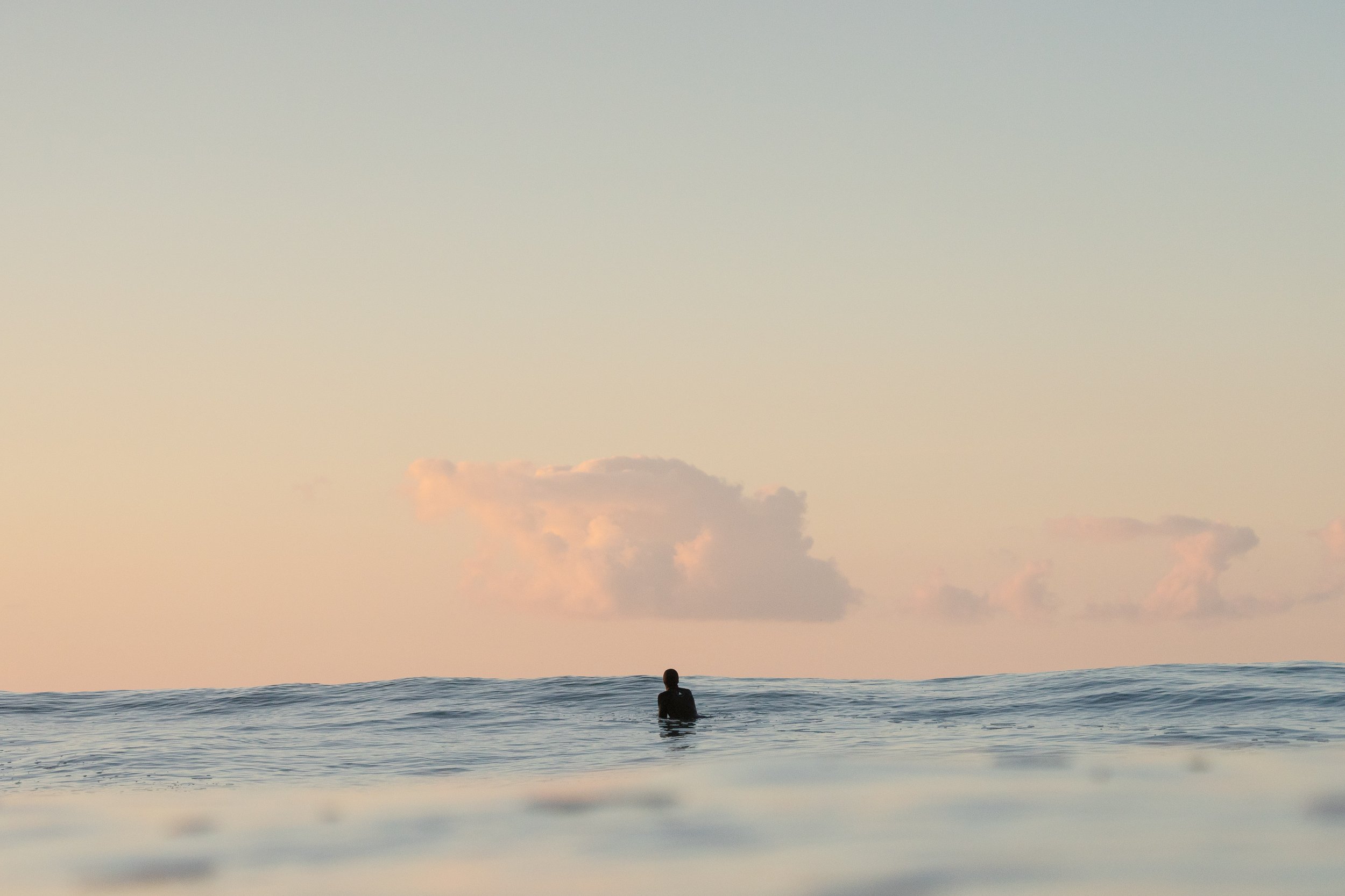 MSW Ed West - December 2022-59.JPG