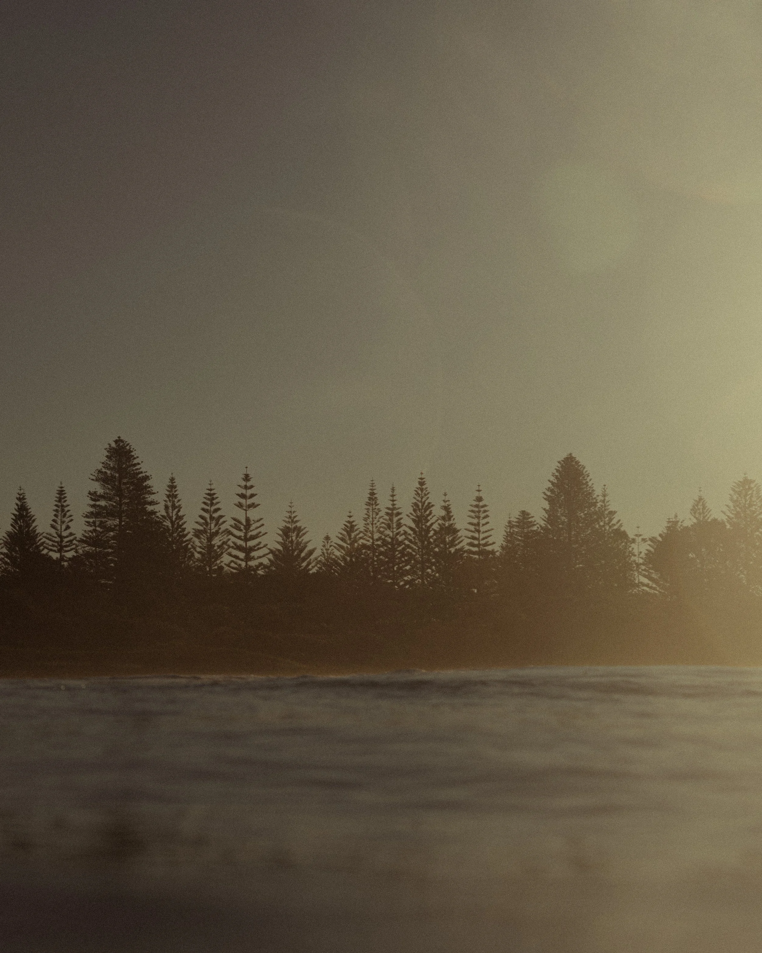 Waves and Woods - Ed West (24 of 28).jpg