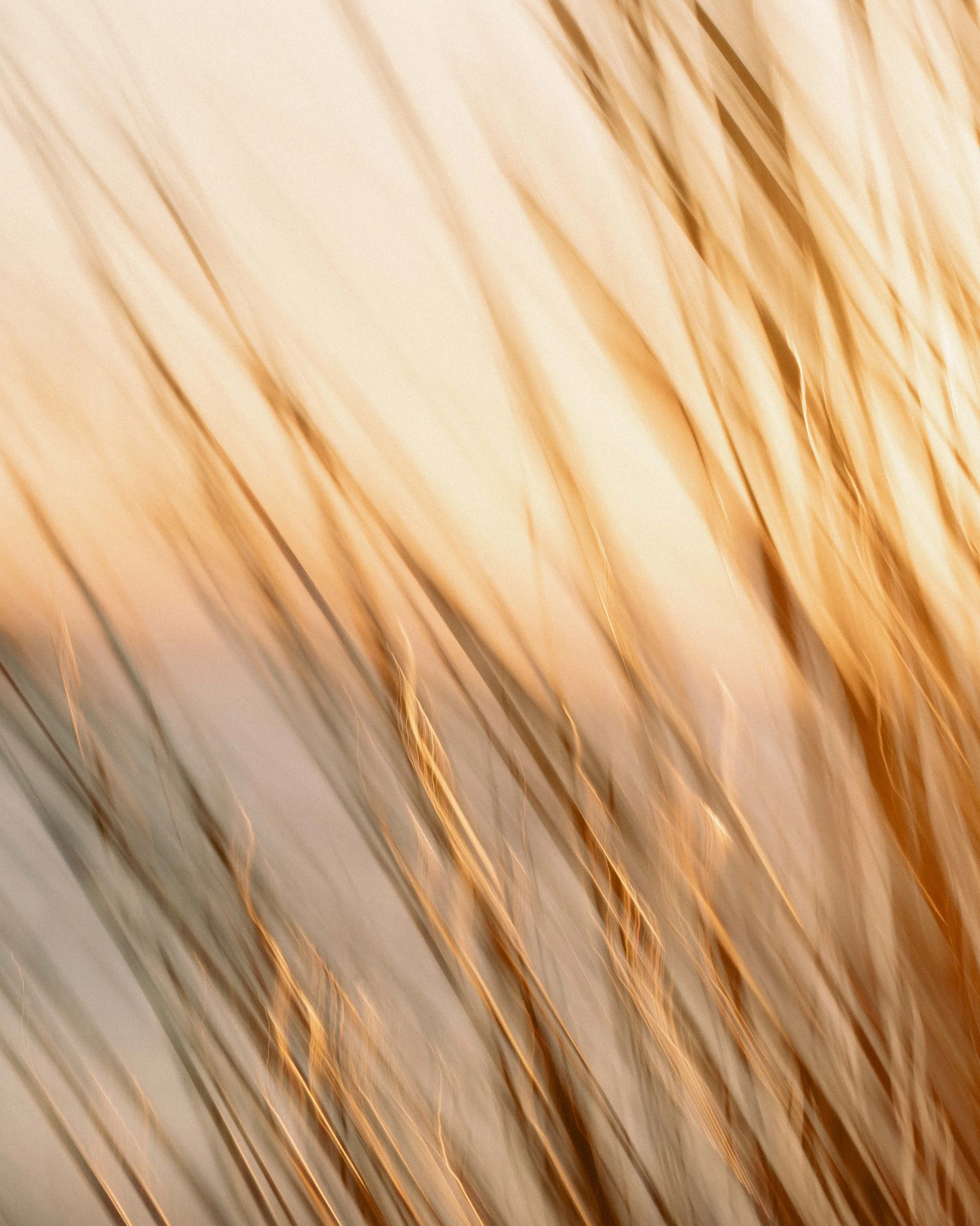 Godrevy Sunset_-10.jpg