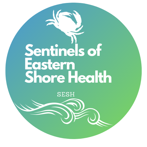 Sentinels of Eastern Shore Health (SESH)