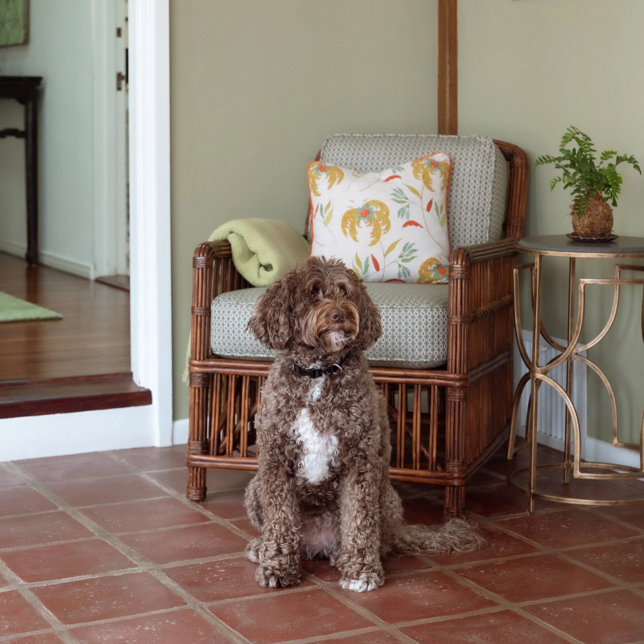 KellySwedaPhotography.Vanderwall-11.jpg