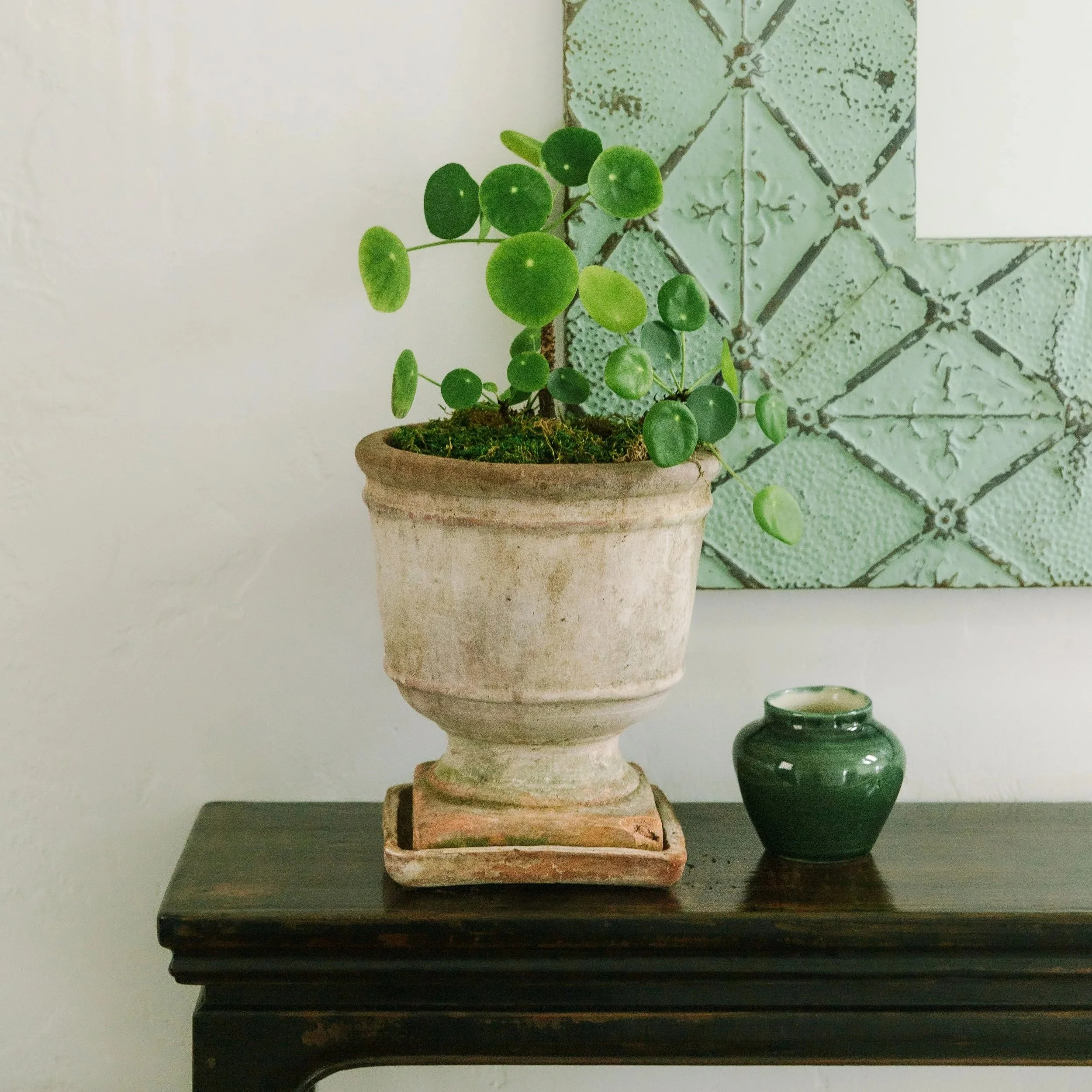 KellySwedaPhotography.Vanderwall-13.jpg