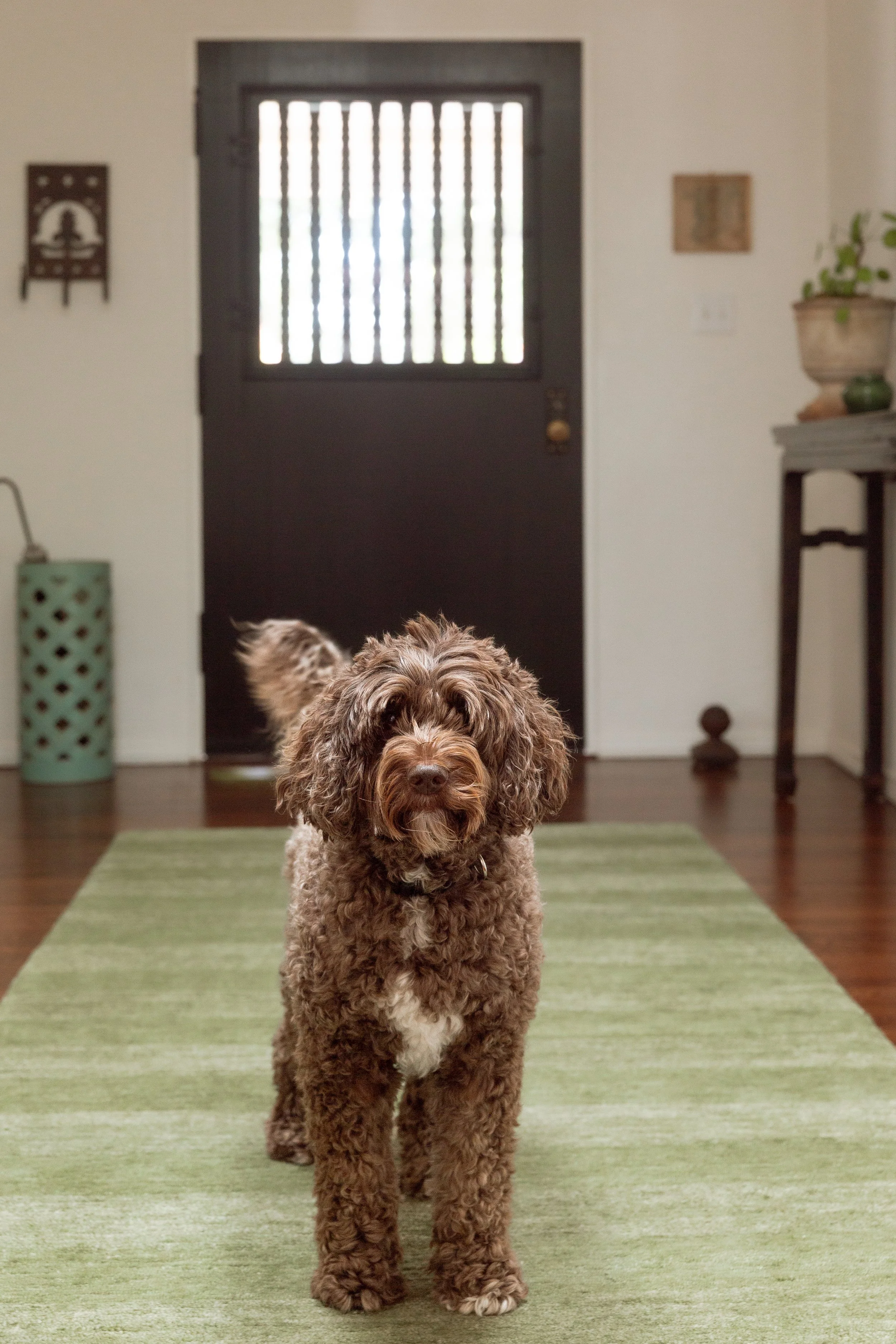 KellySwedaPhotography.Vanderwall-14.jpg