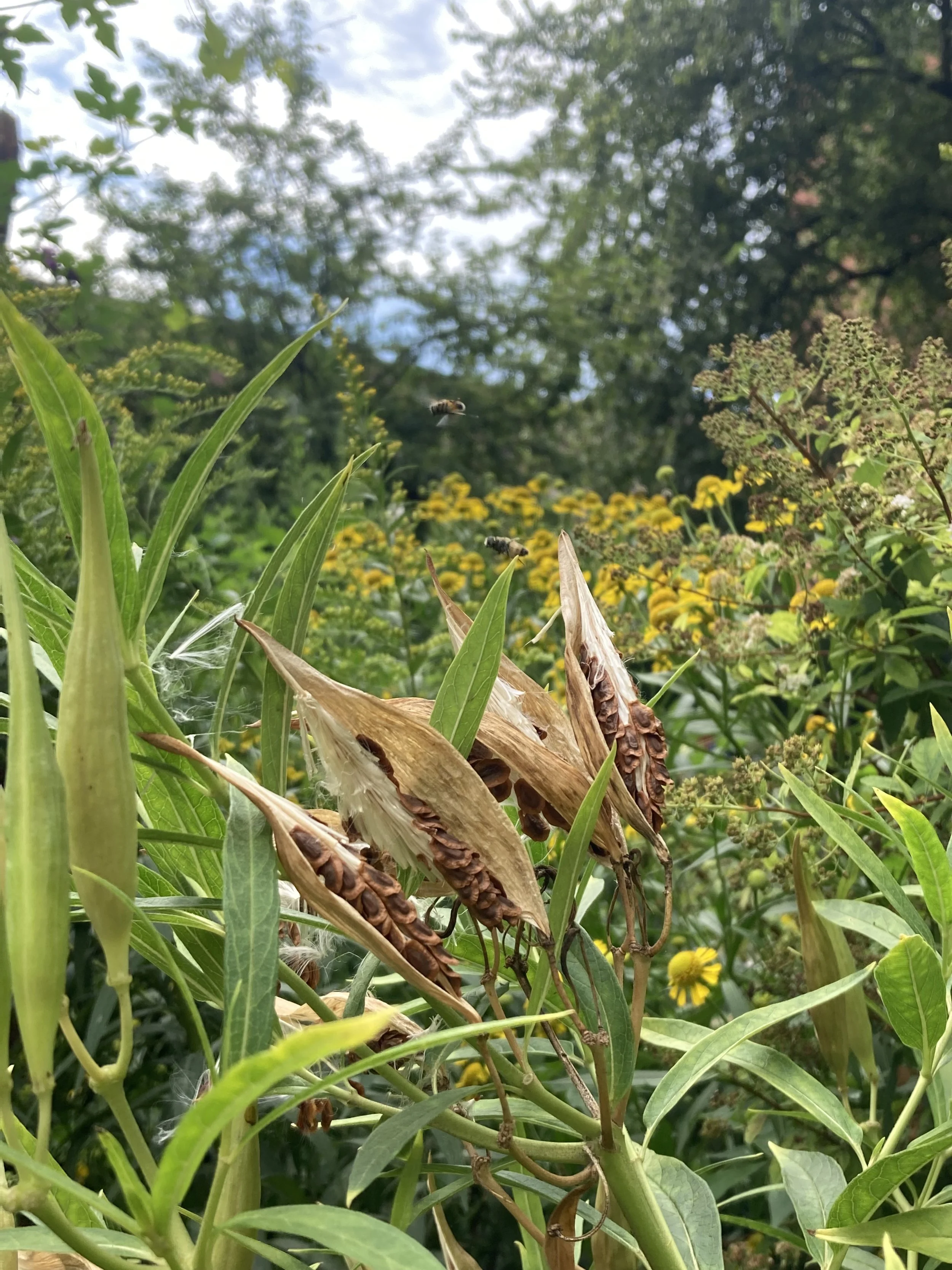 IMG_0374.jpeg