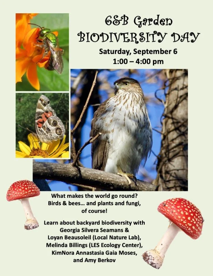 Biodiversity Day