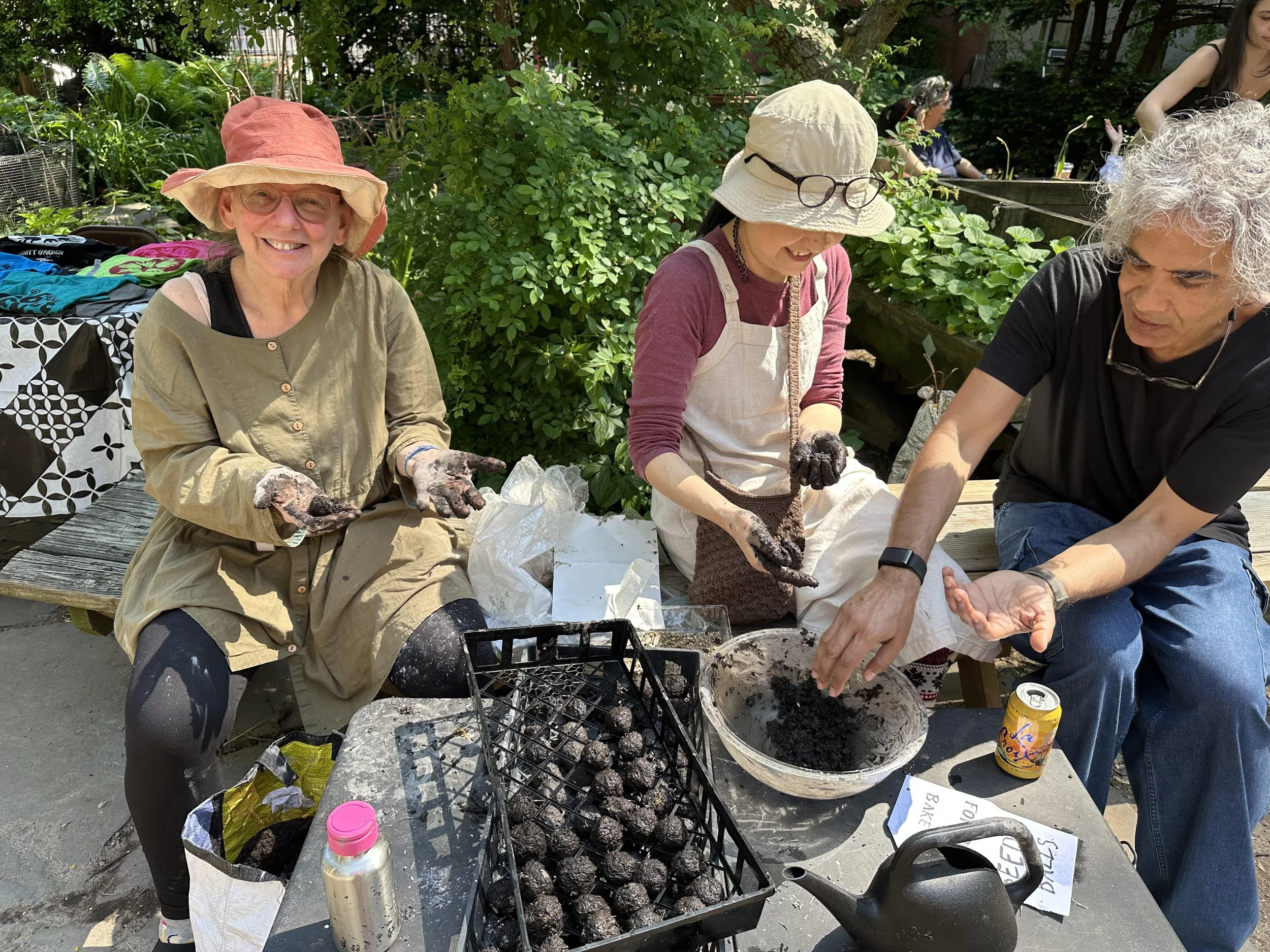 seed dumplings 2025 1 - Amy Berkov.jpg