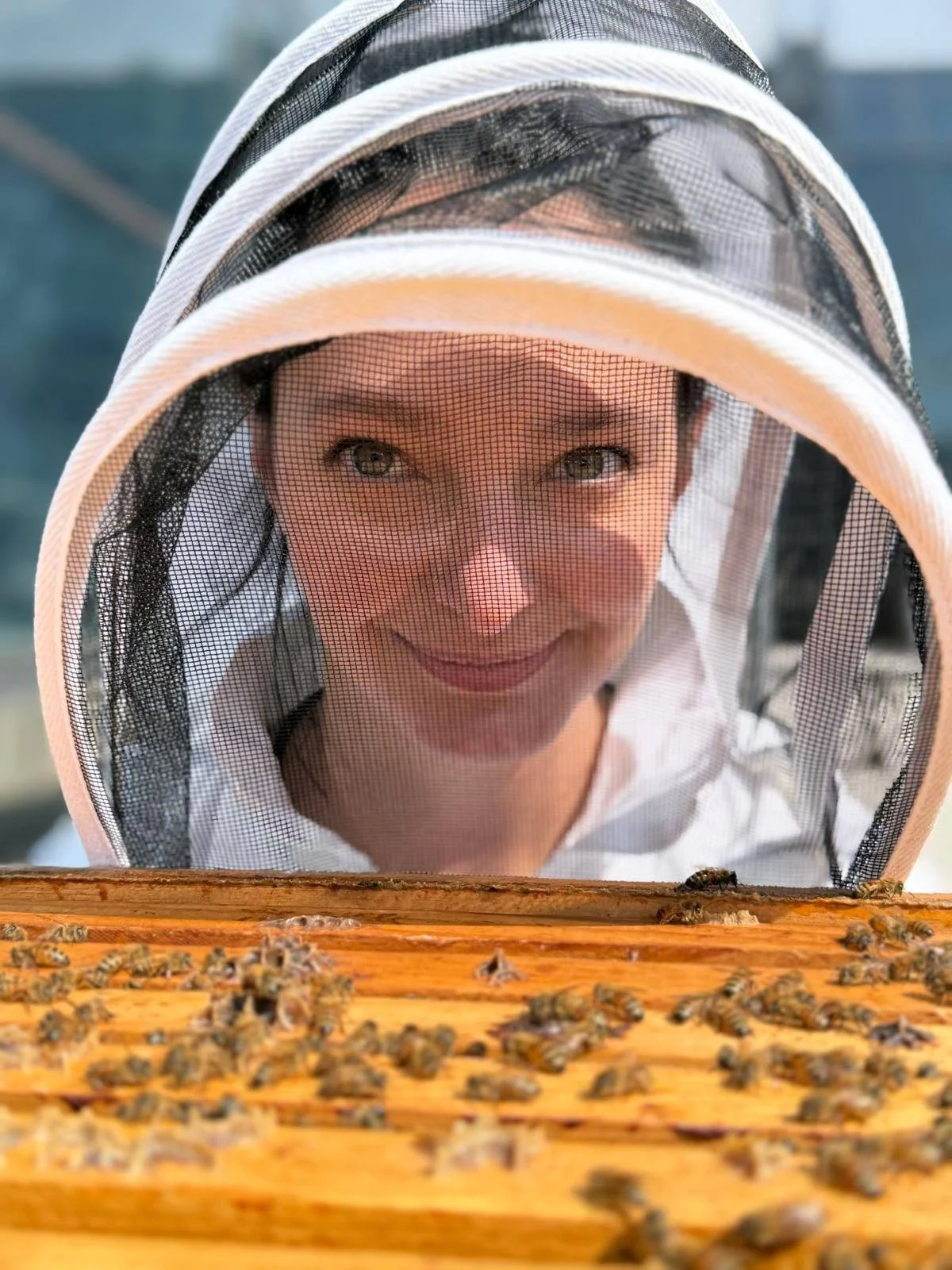 All About Bees!