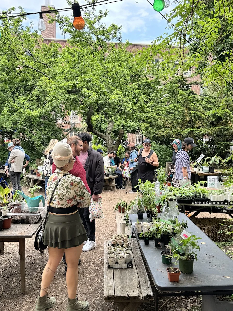 6&B plant & bake sale by Kim 1.jpg