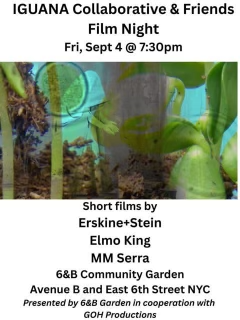 Iguana Collaborative & Friends - film night