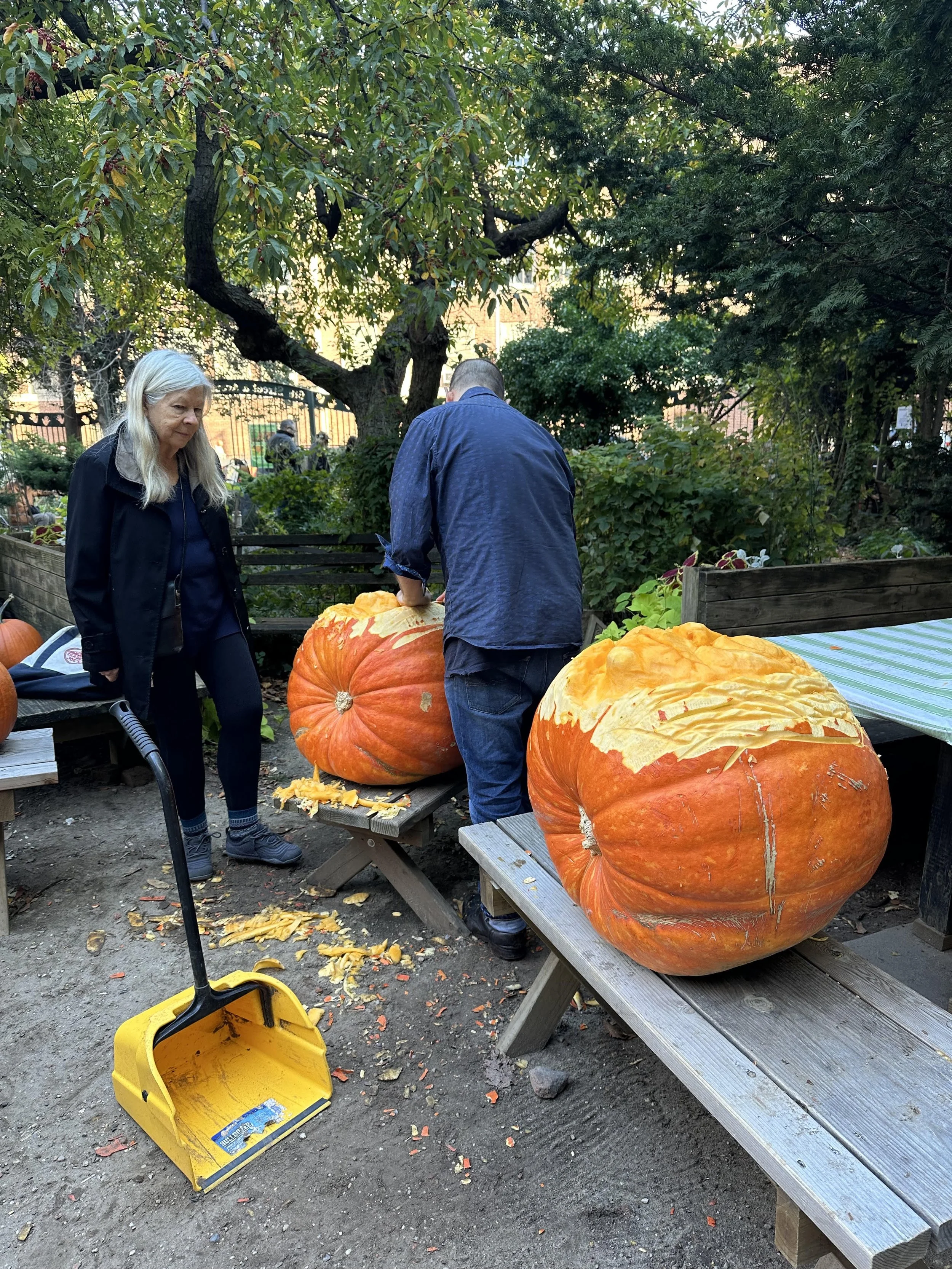 6&B pumpkin carving 2026 - Amy Berkov 1.jpg