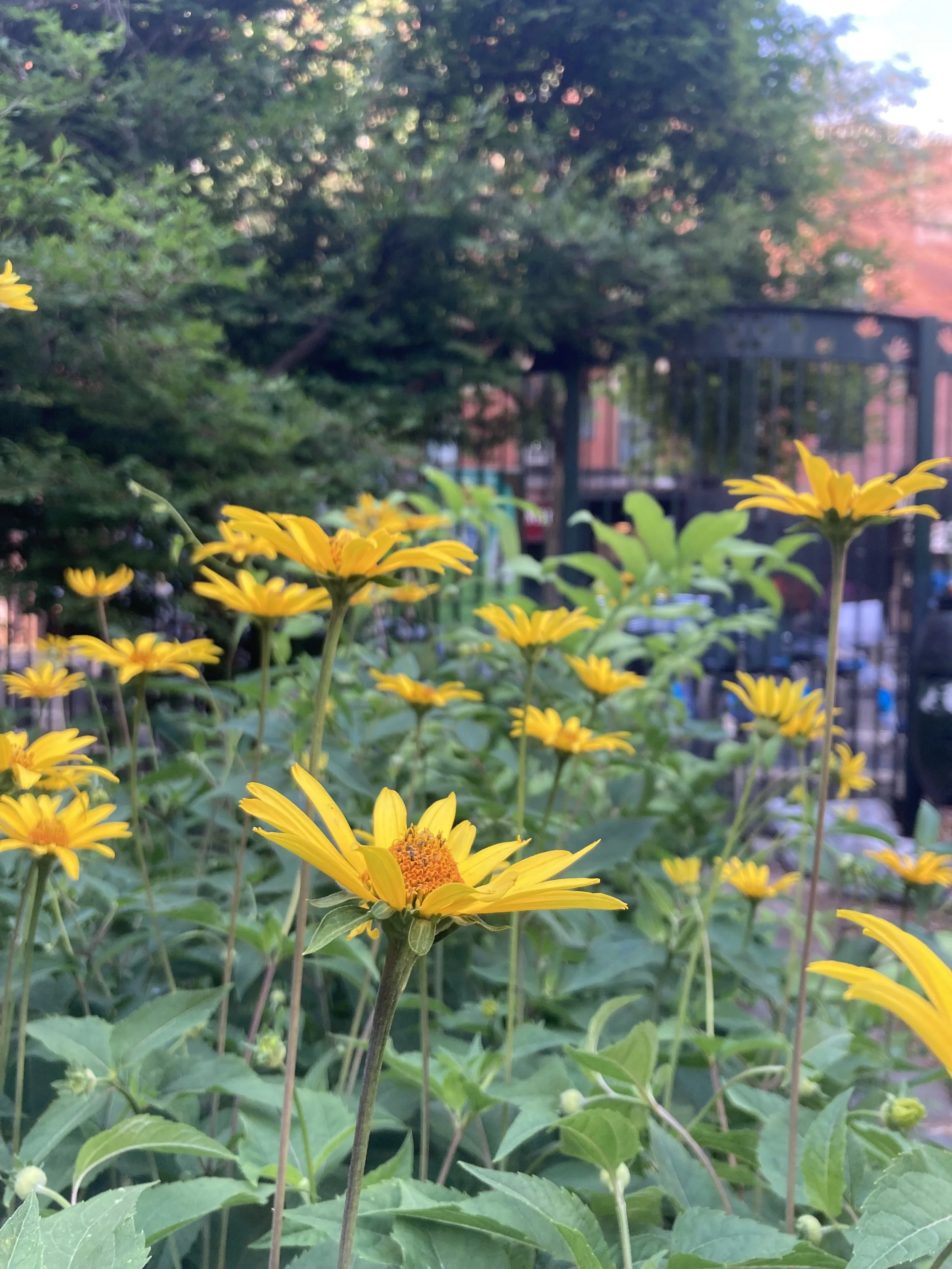 IMG_2836.jpeg