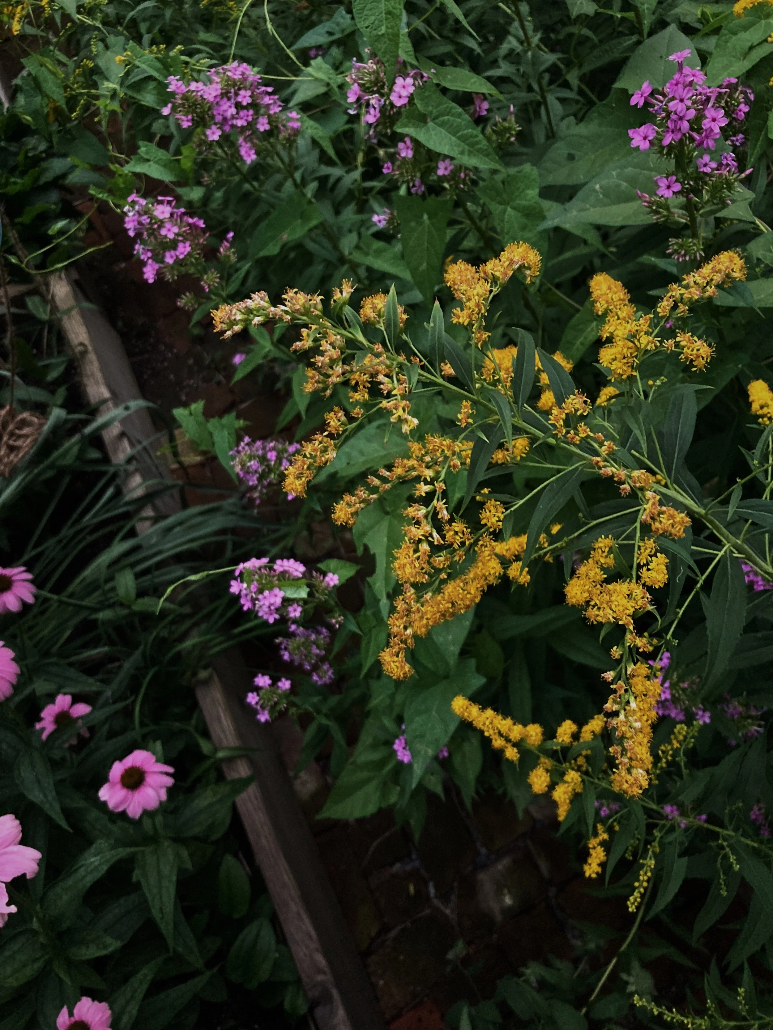 6E5CA4F4-02E8-49BF-B7F5-18AB17629CC4.jpg