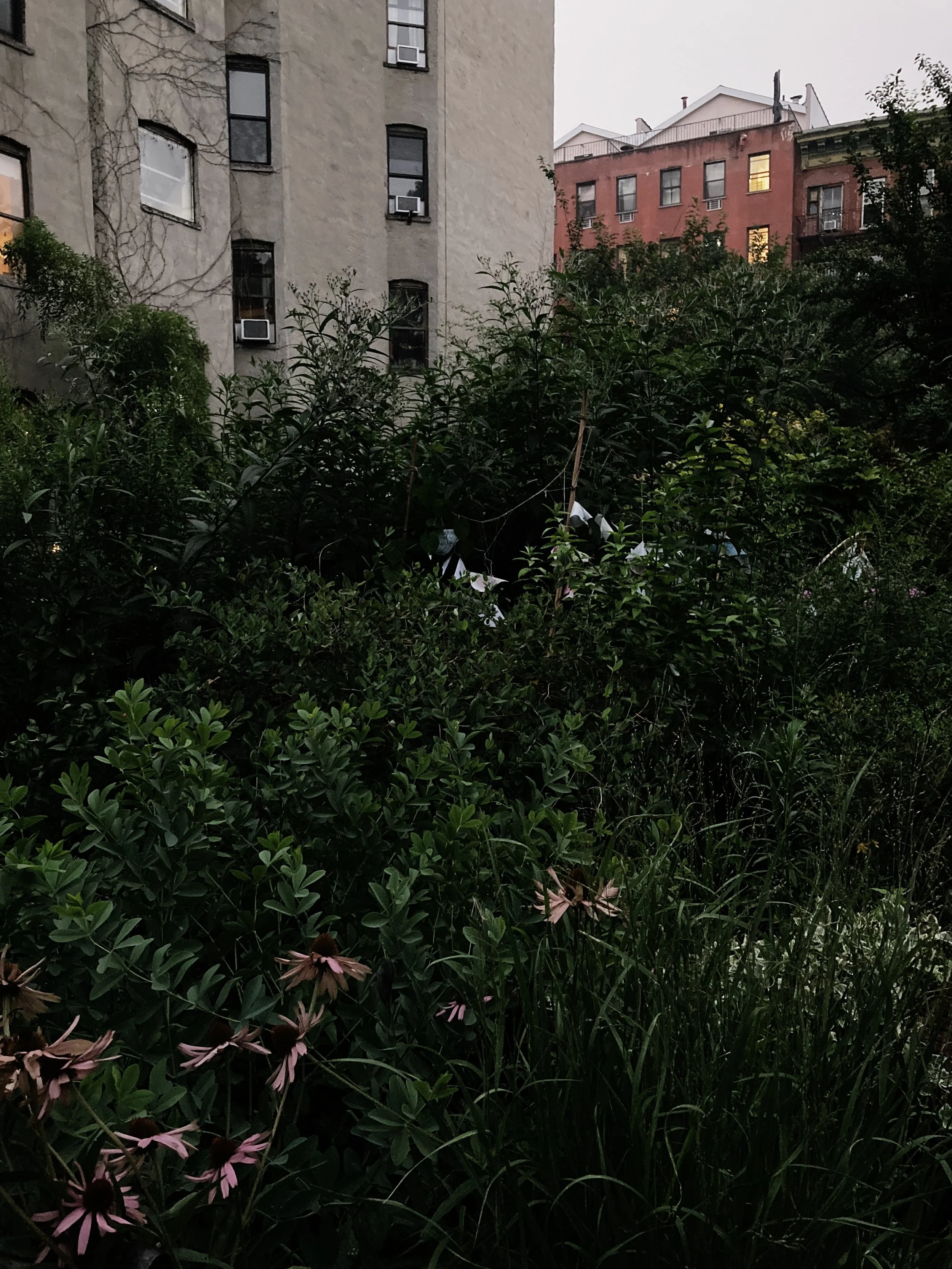 BA80D781-1831-4BE6-8479-BF26FF6EF521.jpg