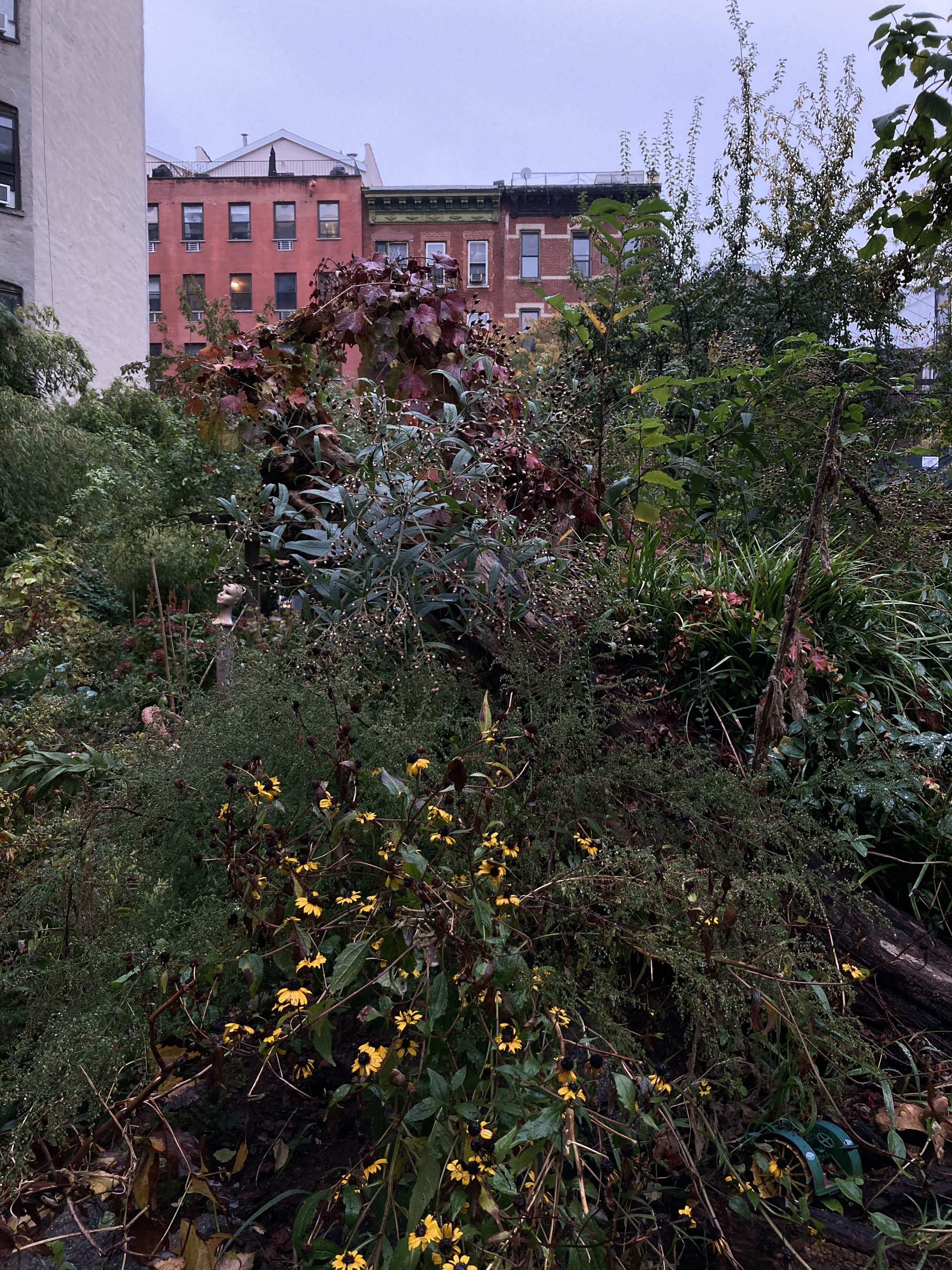IMG_9074.jpeg