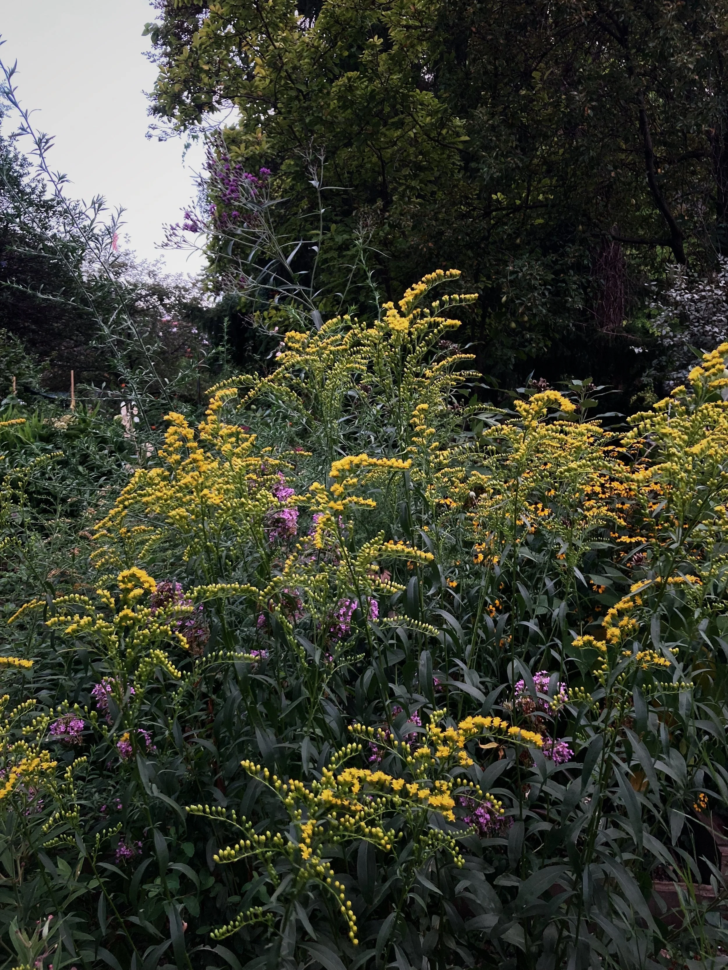 E0F1F352-259F-4BAF-A339-7B51B4454E98.jpg