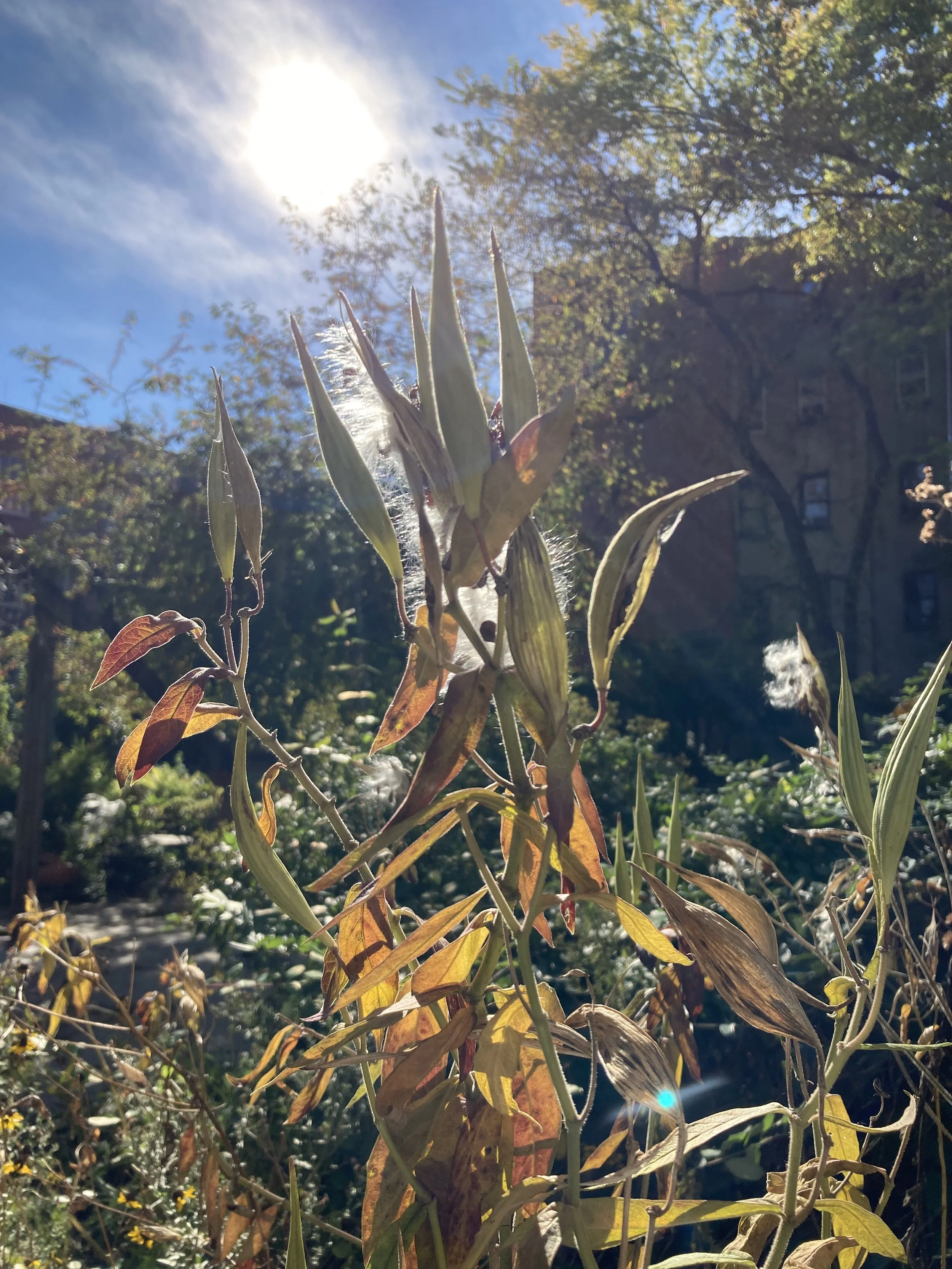 IMG_0842.jpeg