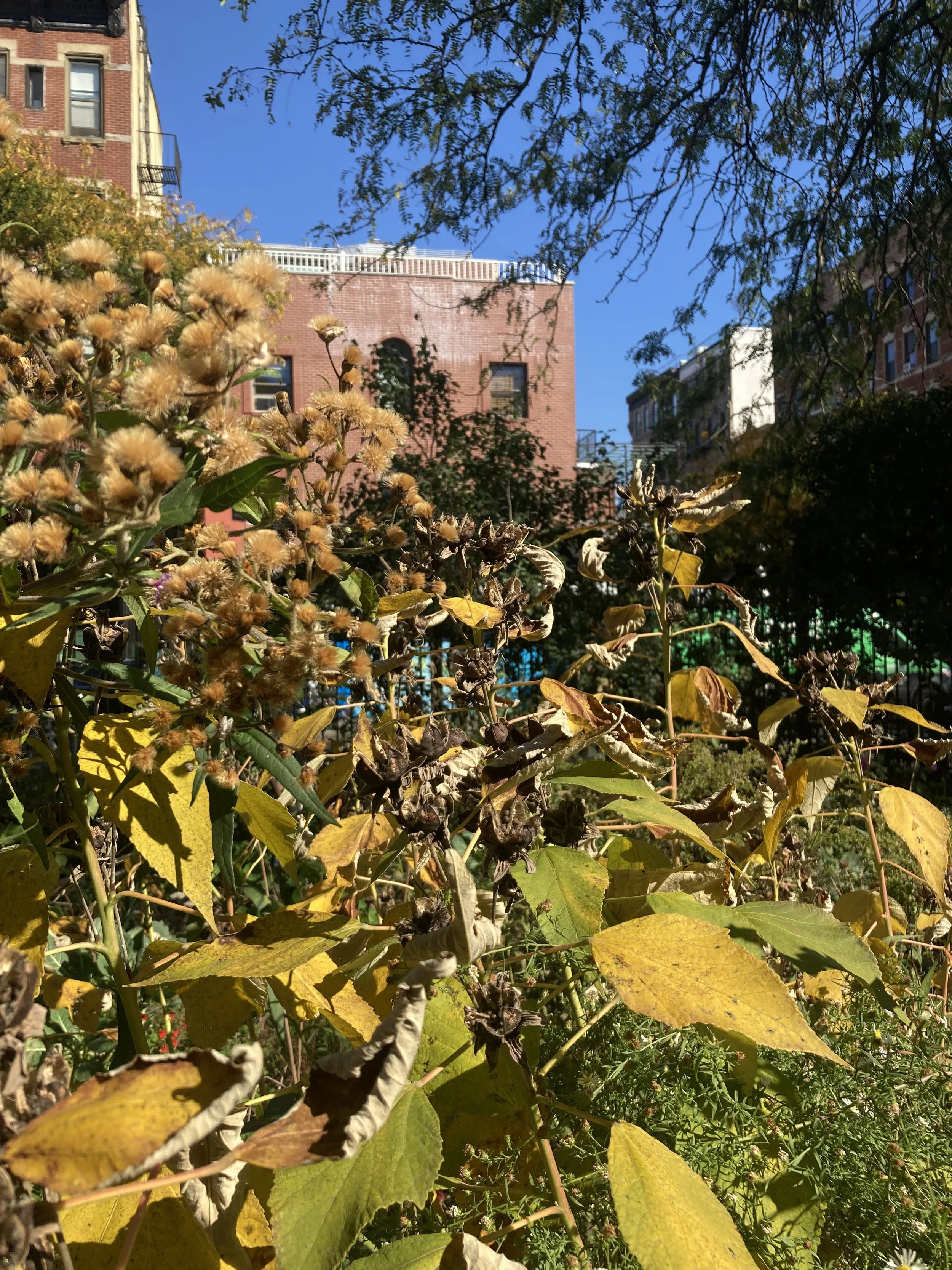 IMG_9756.jpeg
