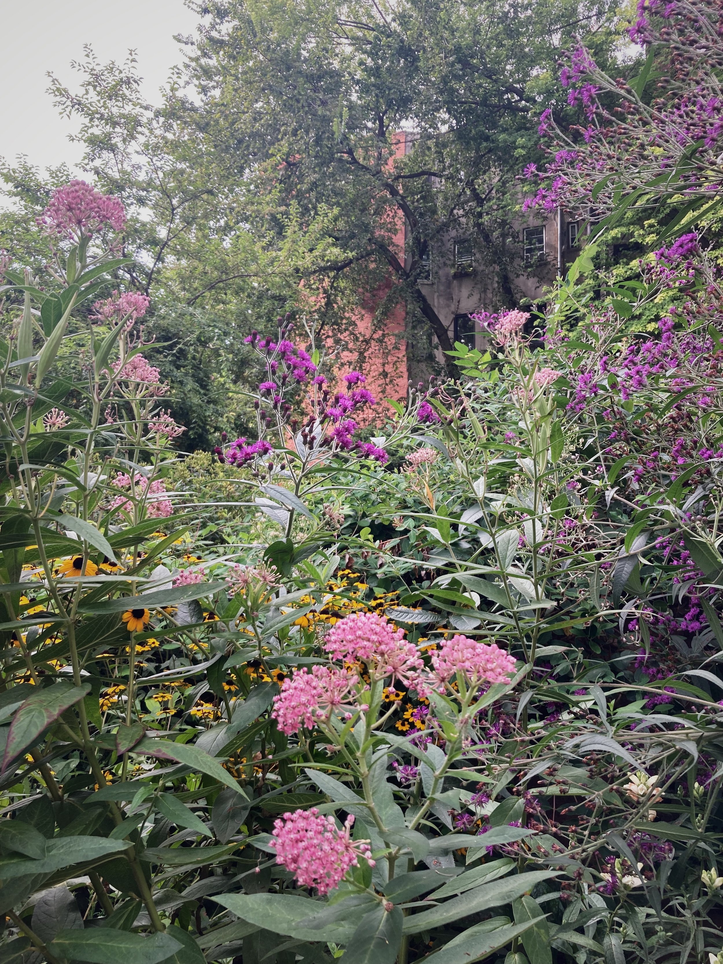 IMG_0376.jpeg
