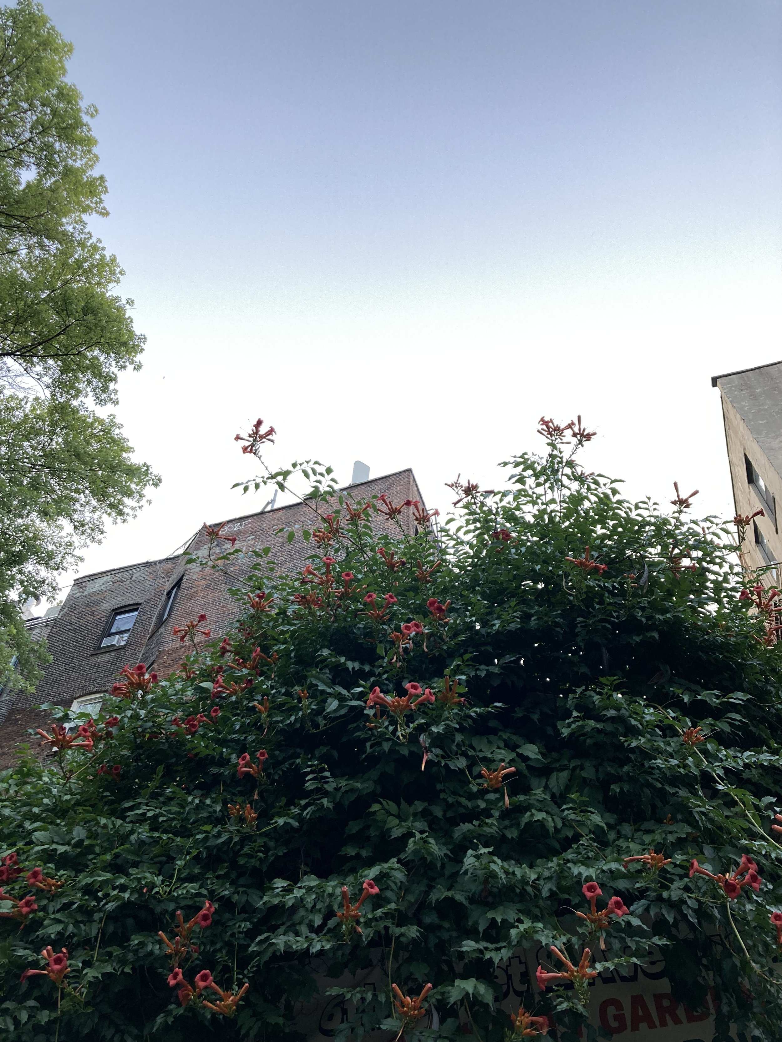 IMG_8932 2.jpeg