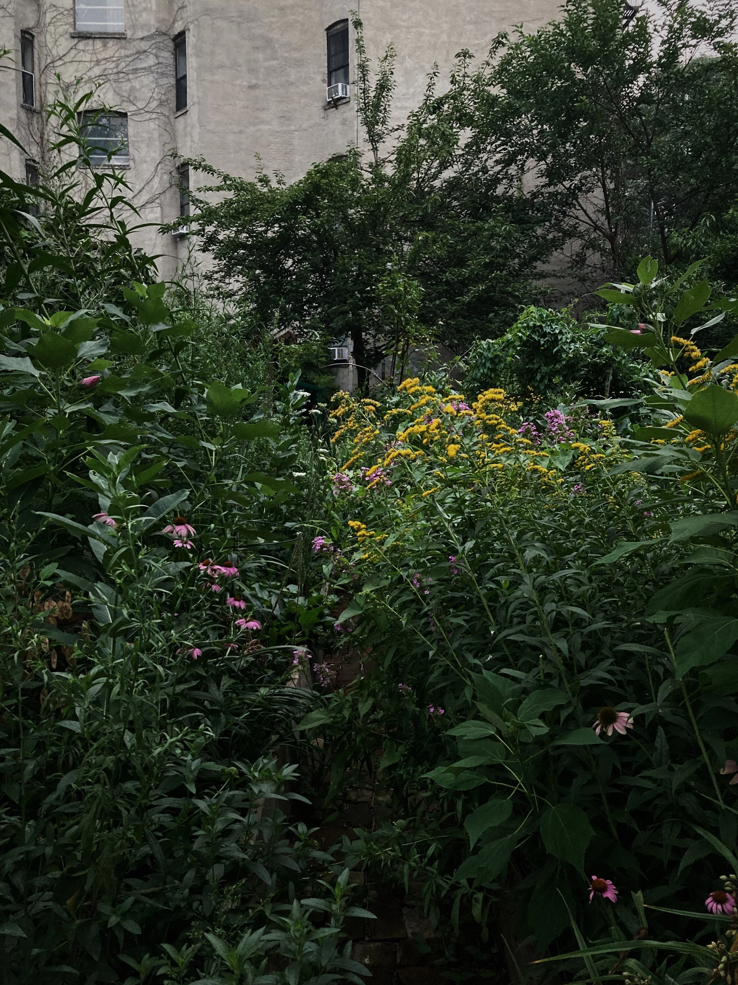 BF04843D-C1DC-4C8D-991F-E1A4B1A4AD61.jpg