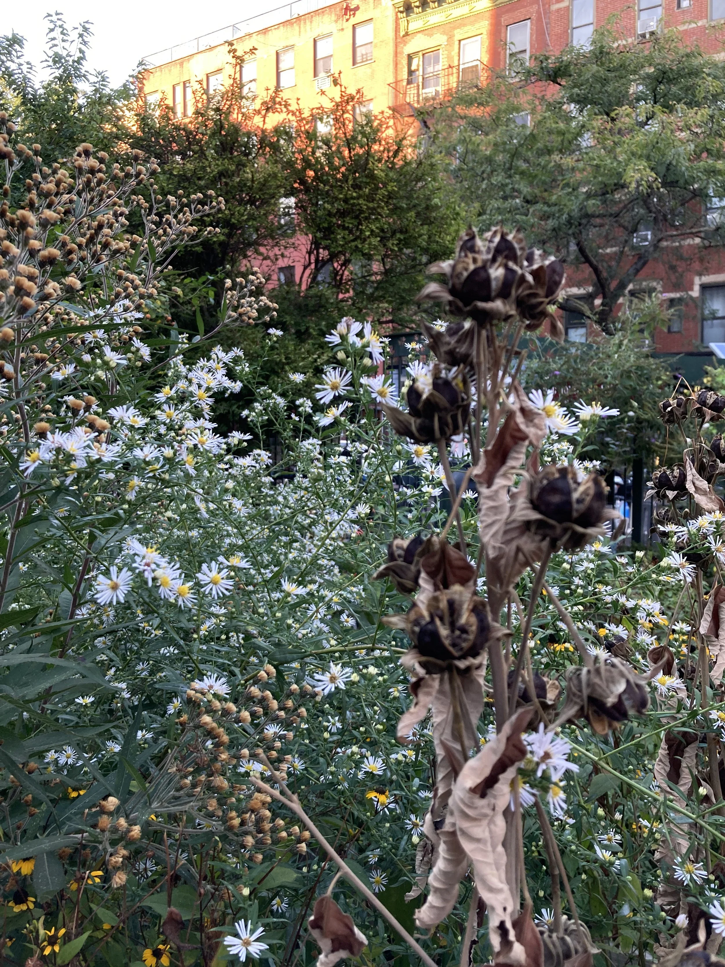 IMG_0143.jpeg