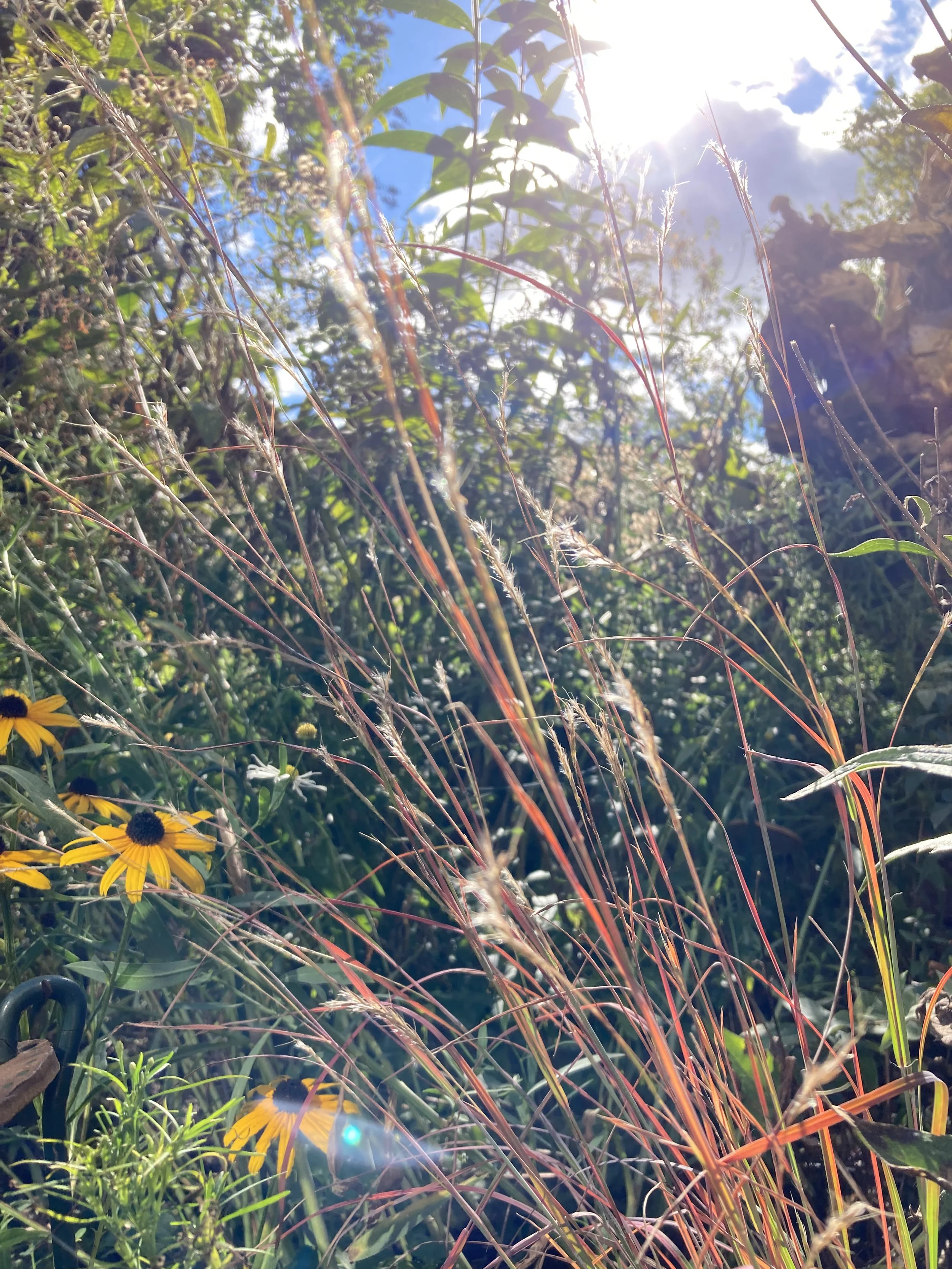 IMG_0722.jpeg