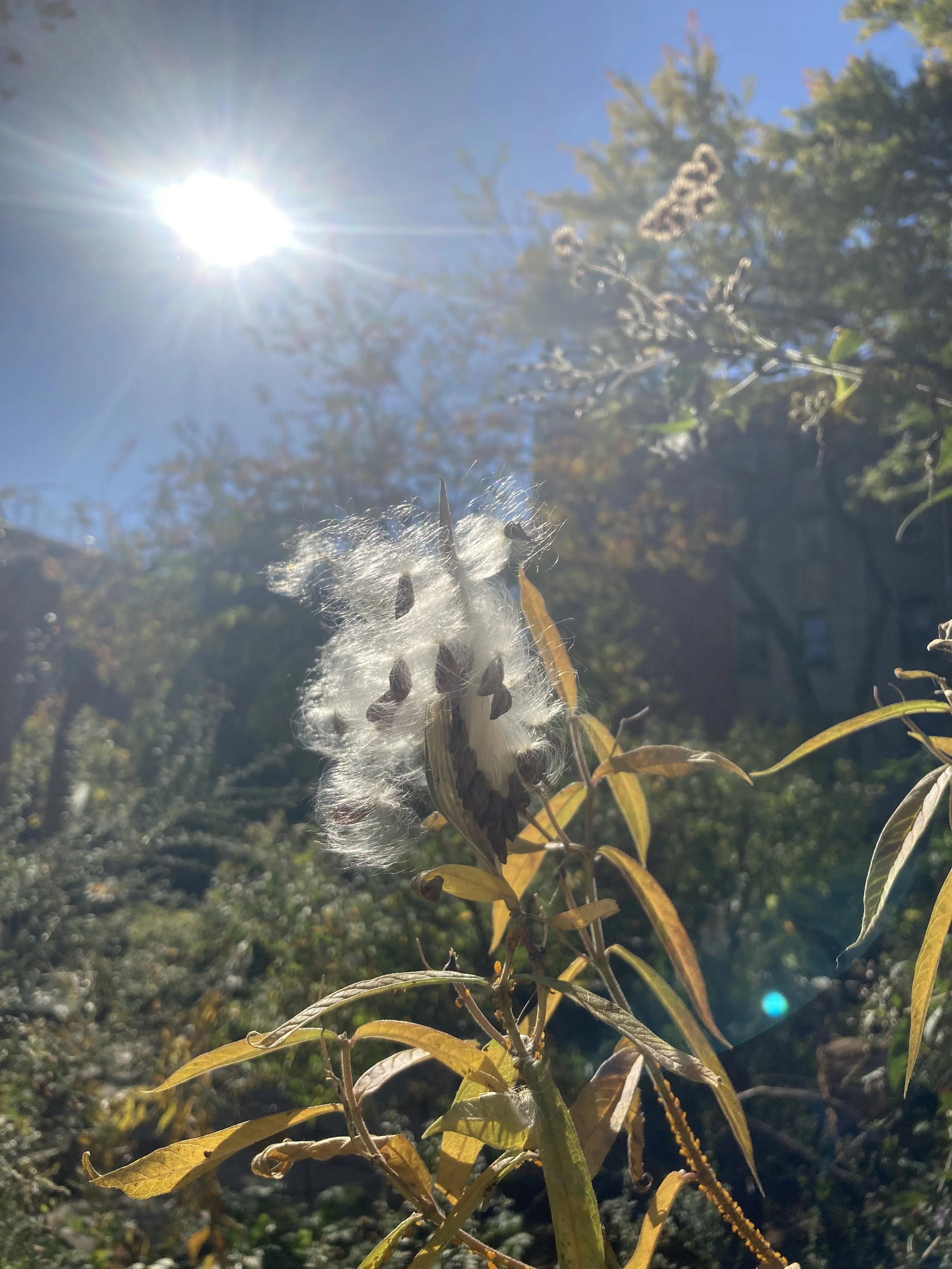 IMG_9753.jpeg
