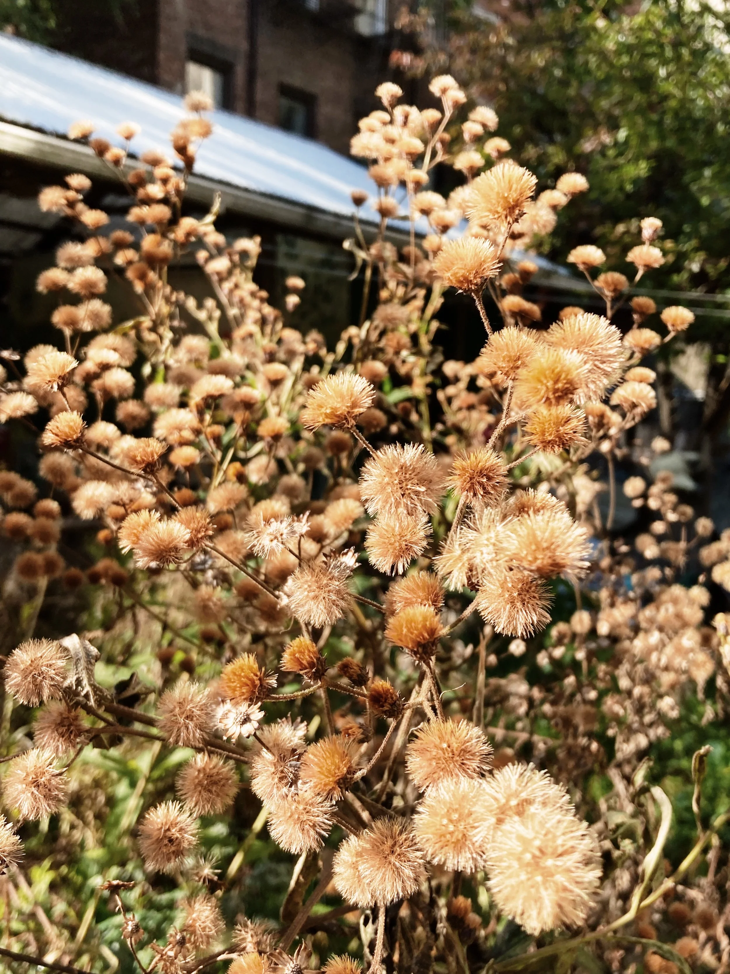 IMG_0848.jpeg
