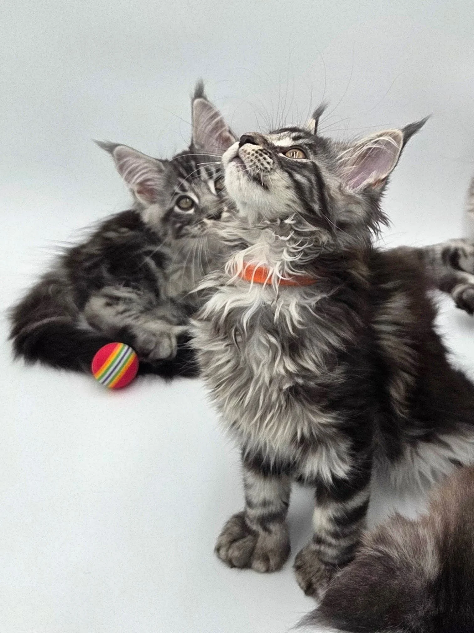 20251227_201104 (1).jpg