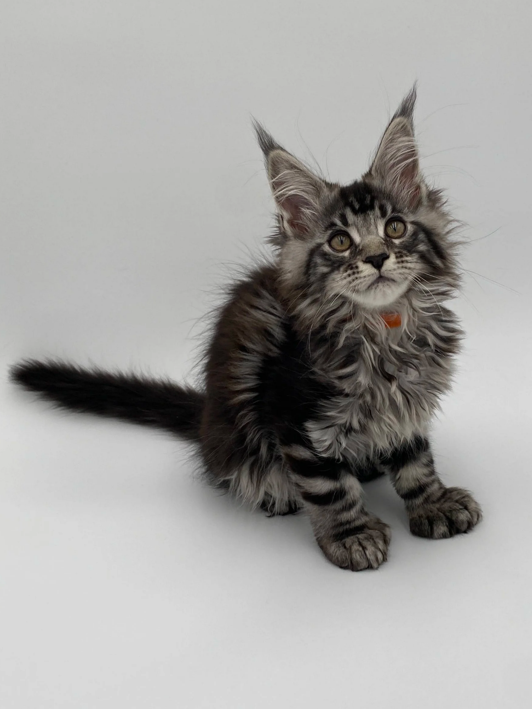 Orange Poly Girl - Deposit (non-refundable)