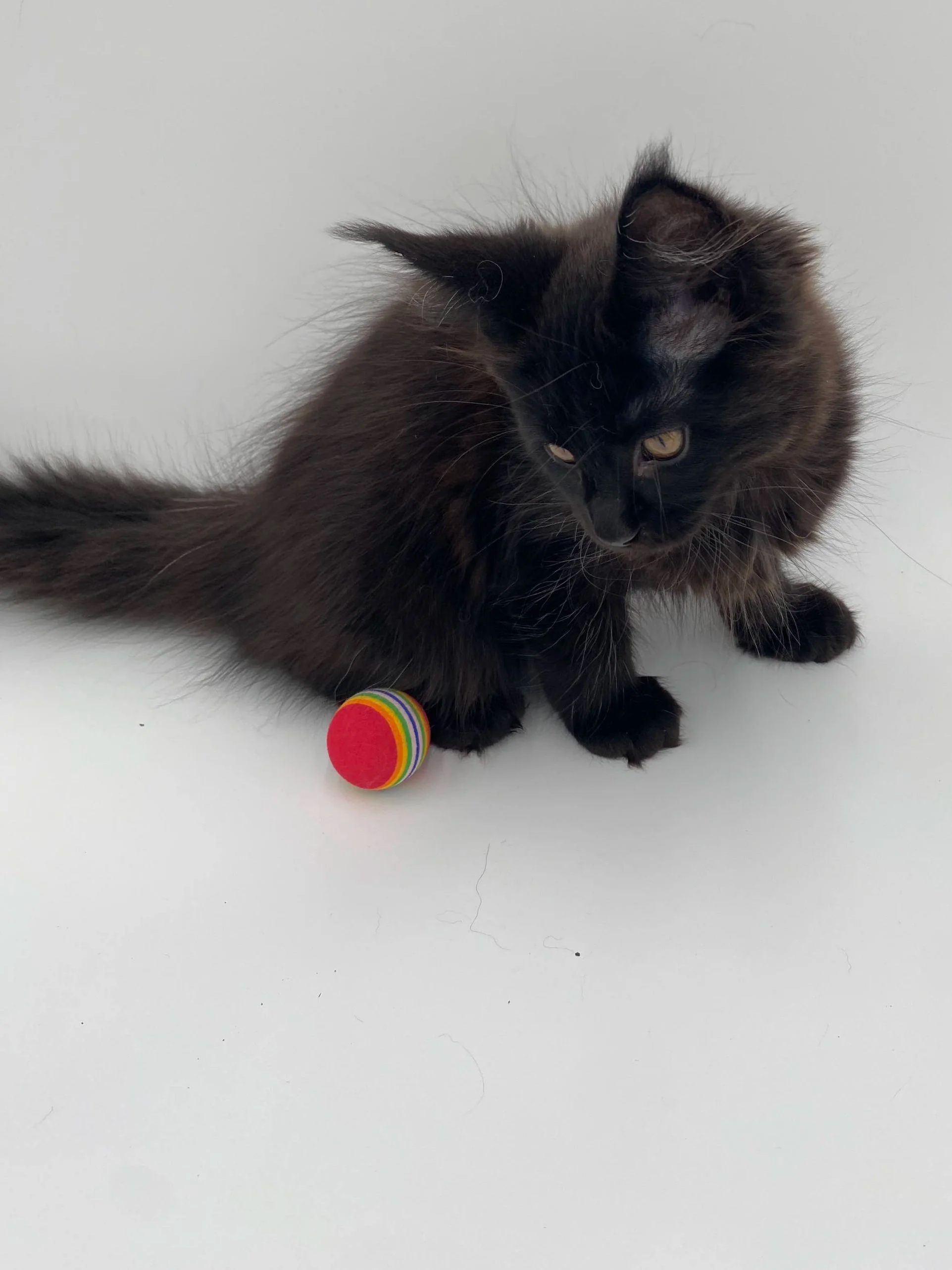 Pink Girl - Deposit (non-refundable)