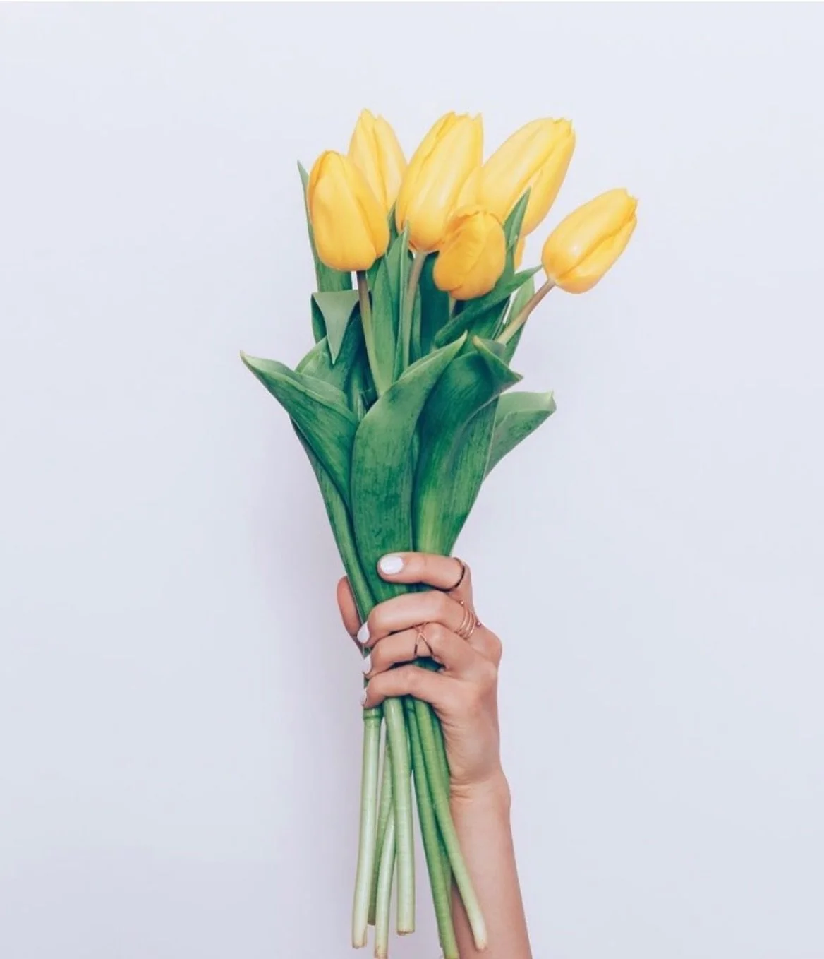 Juste pour adoucir mon feed instagram ☀️ 

N&rsquo;h&eacute;sitez pas &agrave; parcourir l&rsquo;ensemble de notre page insta, des vid&eacute;os, tutoriels, explications et inspirations sont dessus depuis des ann&eacute;es. J&rsquo;y mets tout mon c&