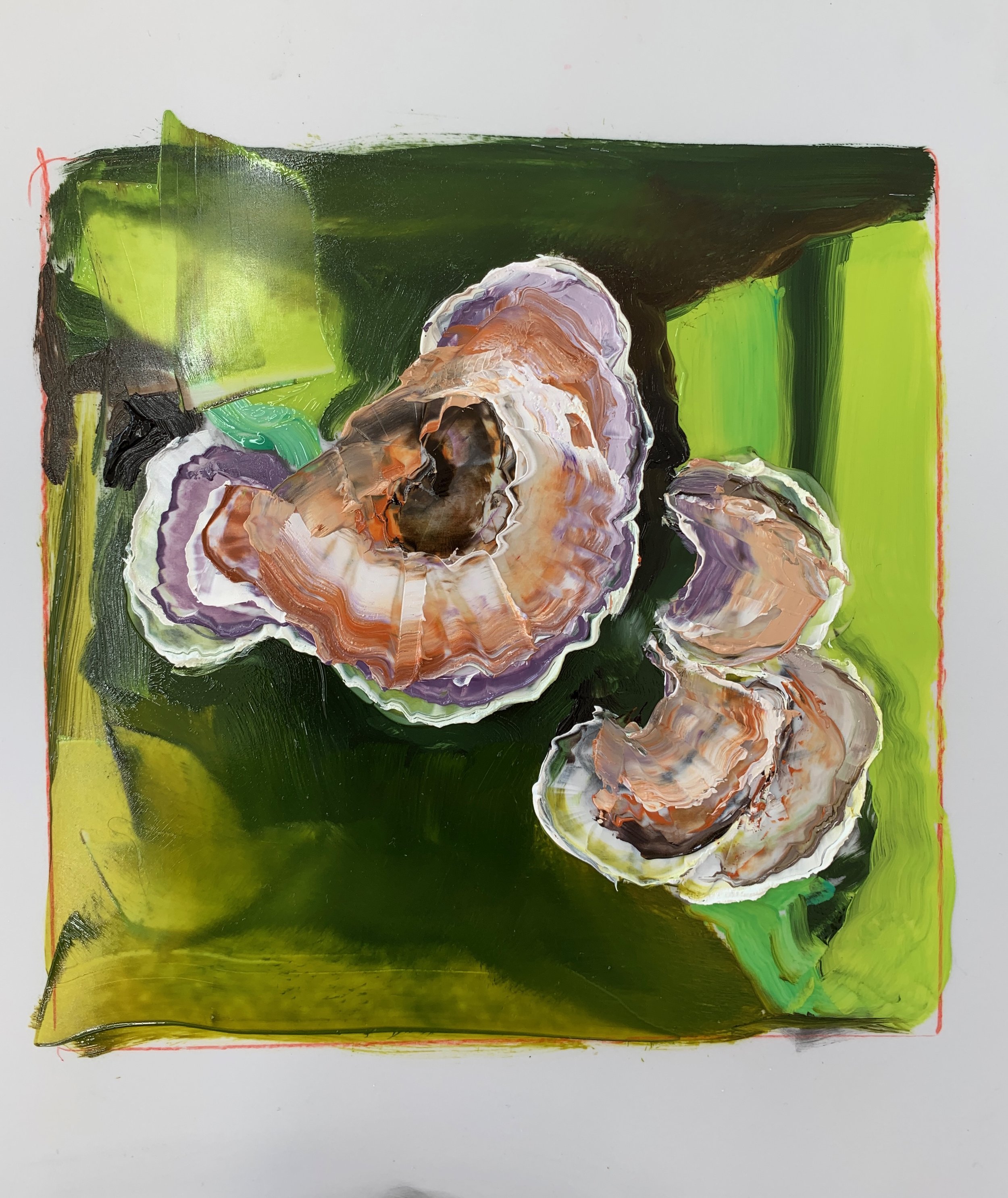 Turkey Tails.jpeg