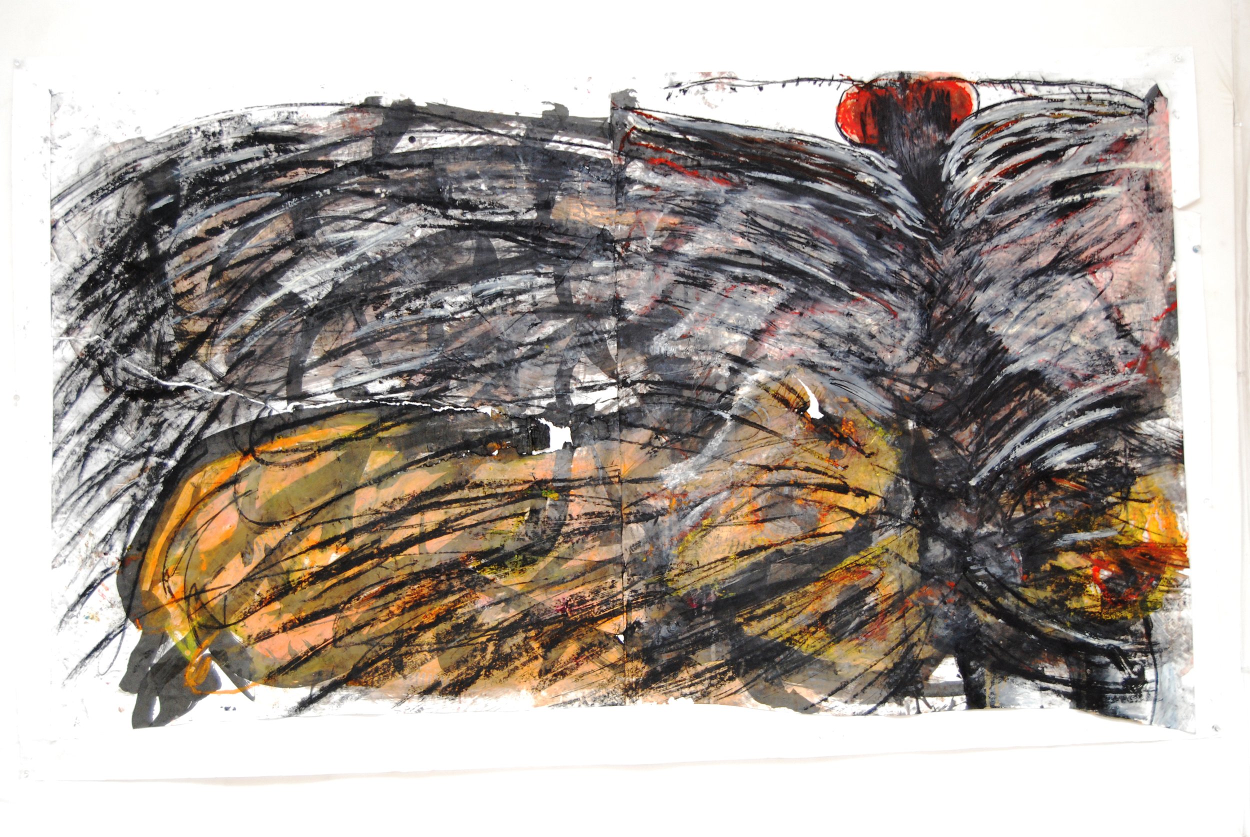 Moth 40" x 72"